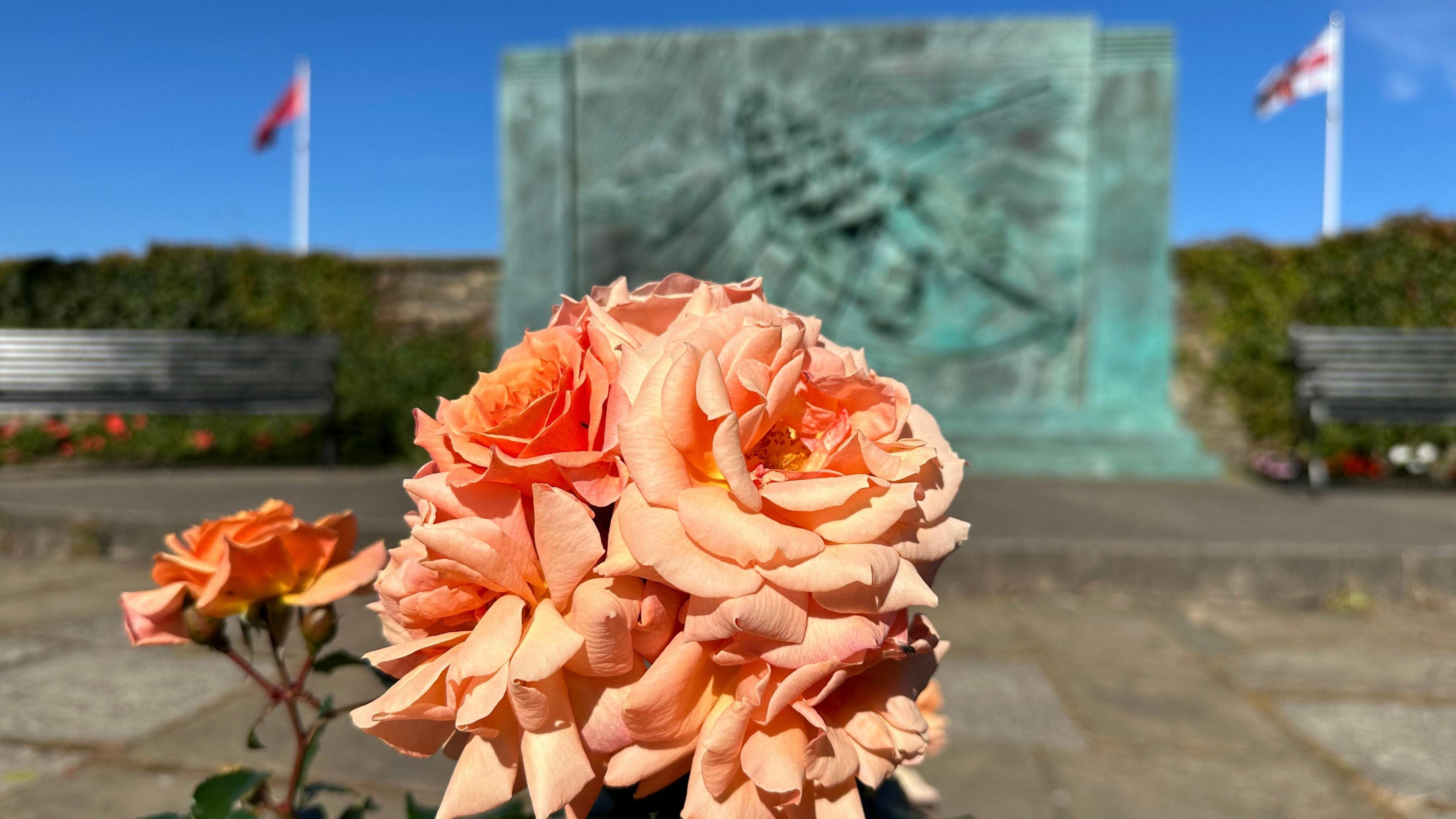 A cluster of orange roses in front of the RNLI rectangular bronze sculpture featuring an old lifeboat with oars in the Douglas Promenade sunken gardens.