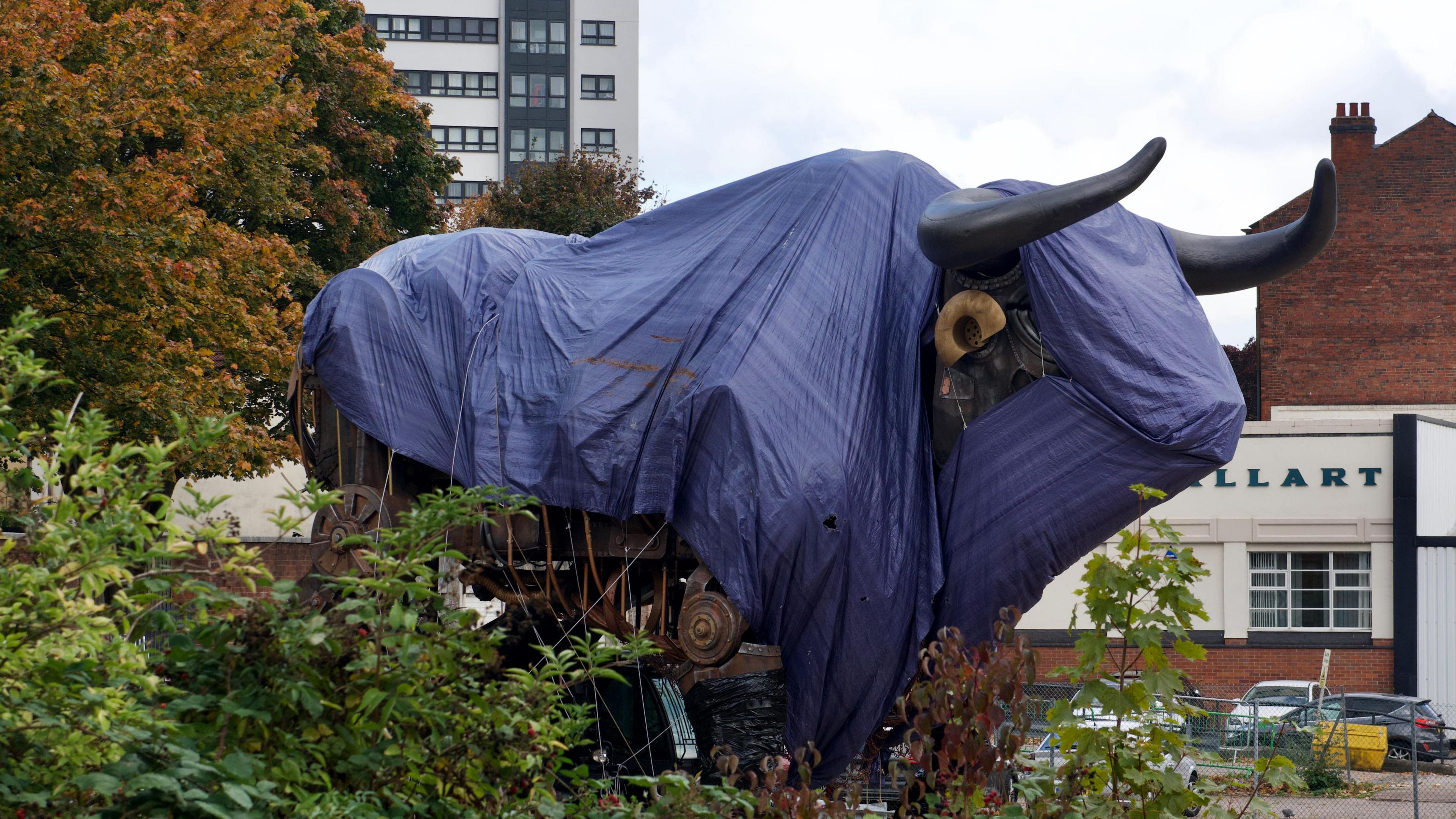 The bull stored in a car park covered in tarpaulin