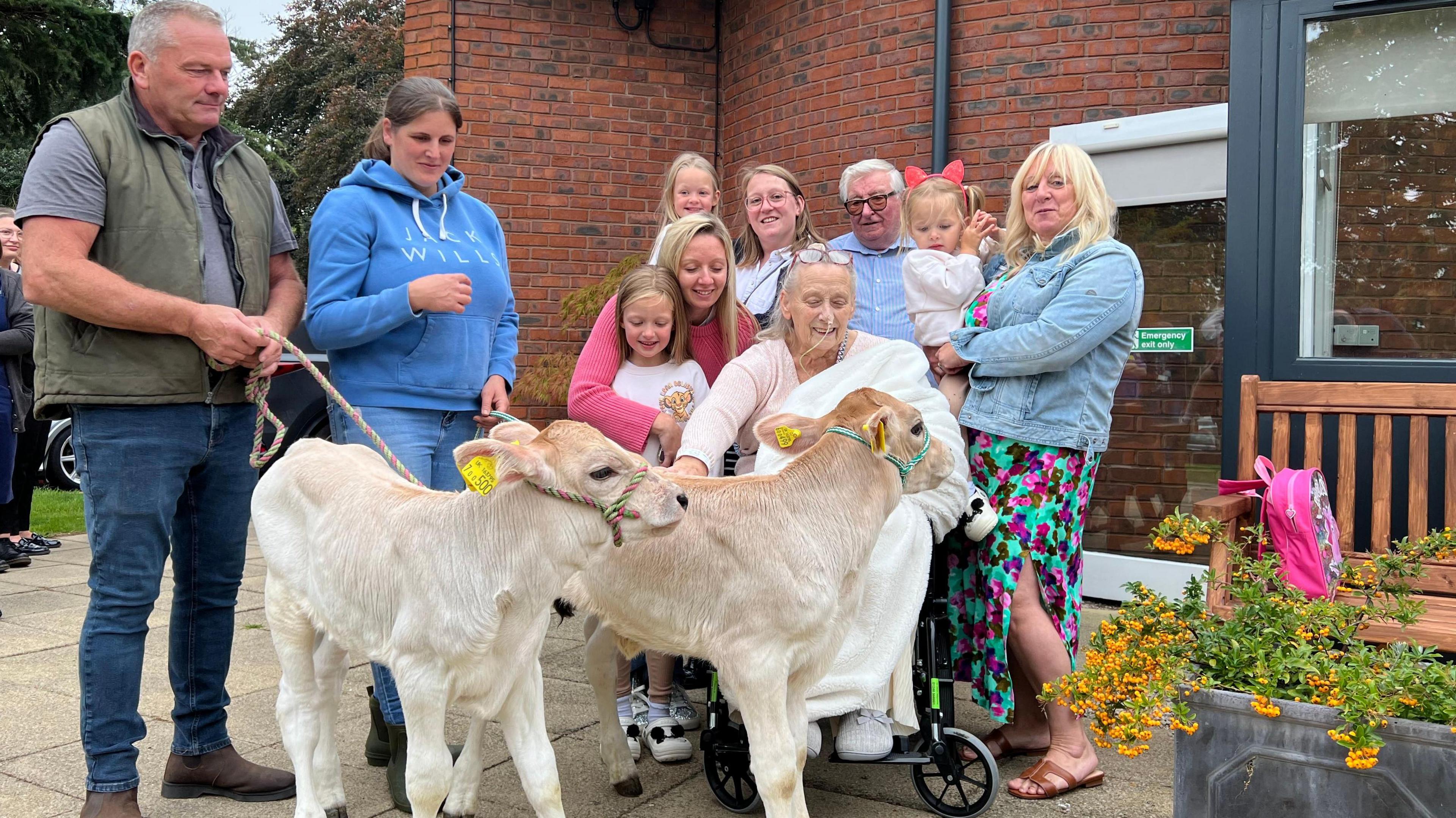 Twin calves visit Ashgate Hospice in Chesterfield, Derbyshire