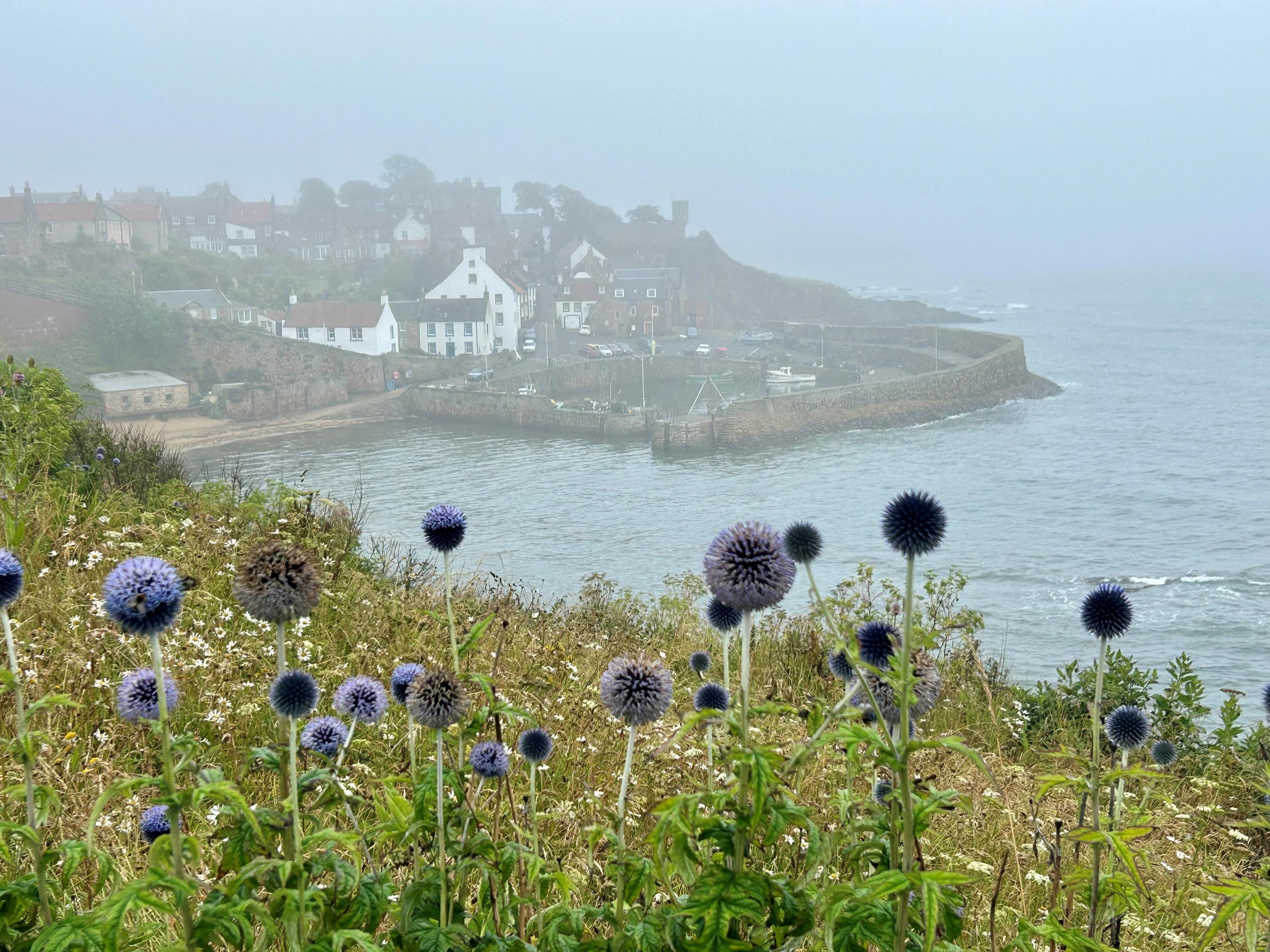Landscape of a rainy cloudy day hanging over a bay and small village with white houses with purple flowers in the foreground