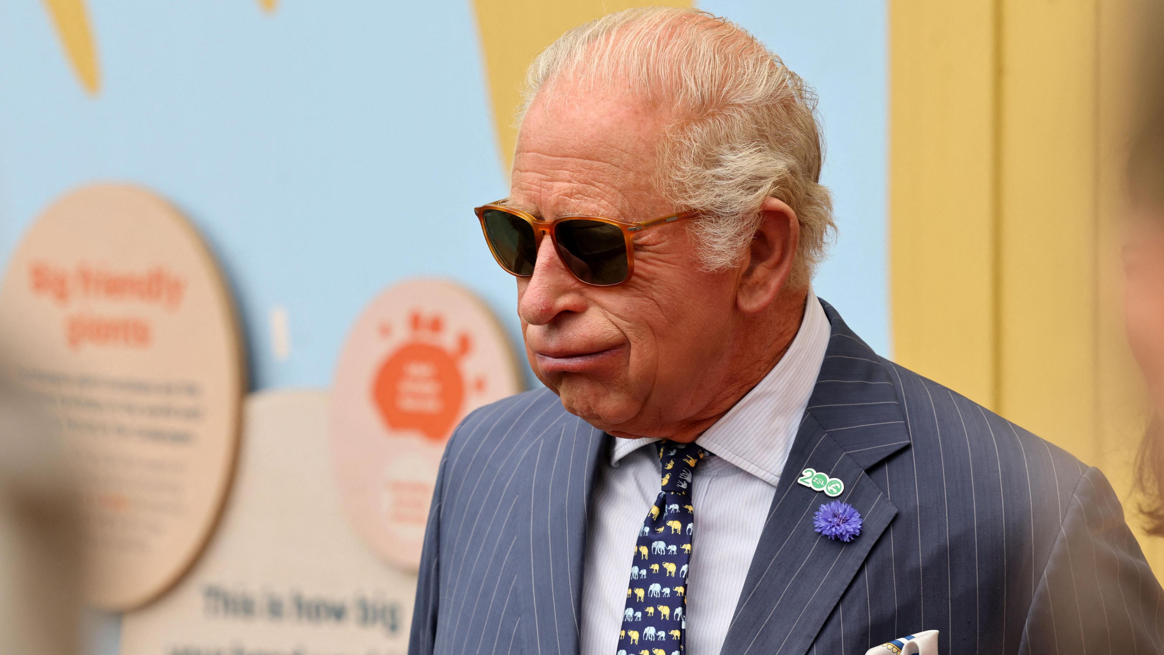 King Charles pictured at London Zoo wearing a suit, sunglasses, and a '200' pin.