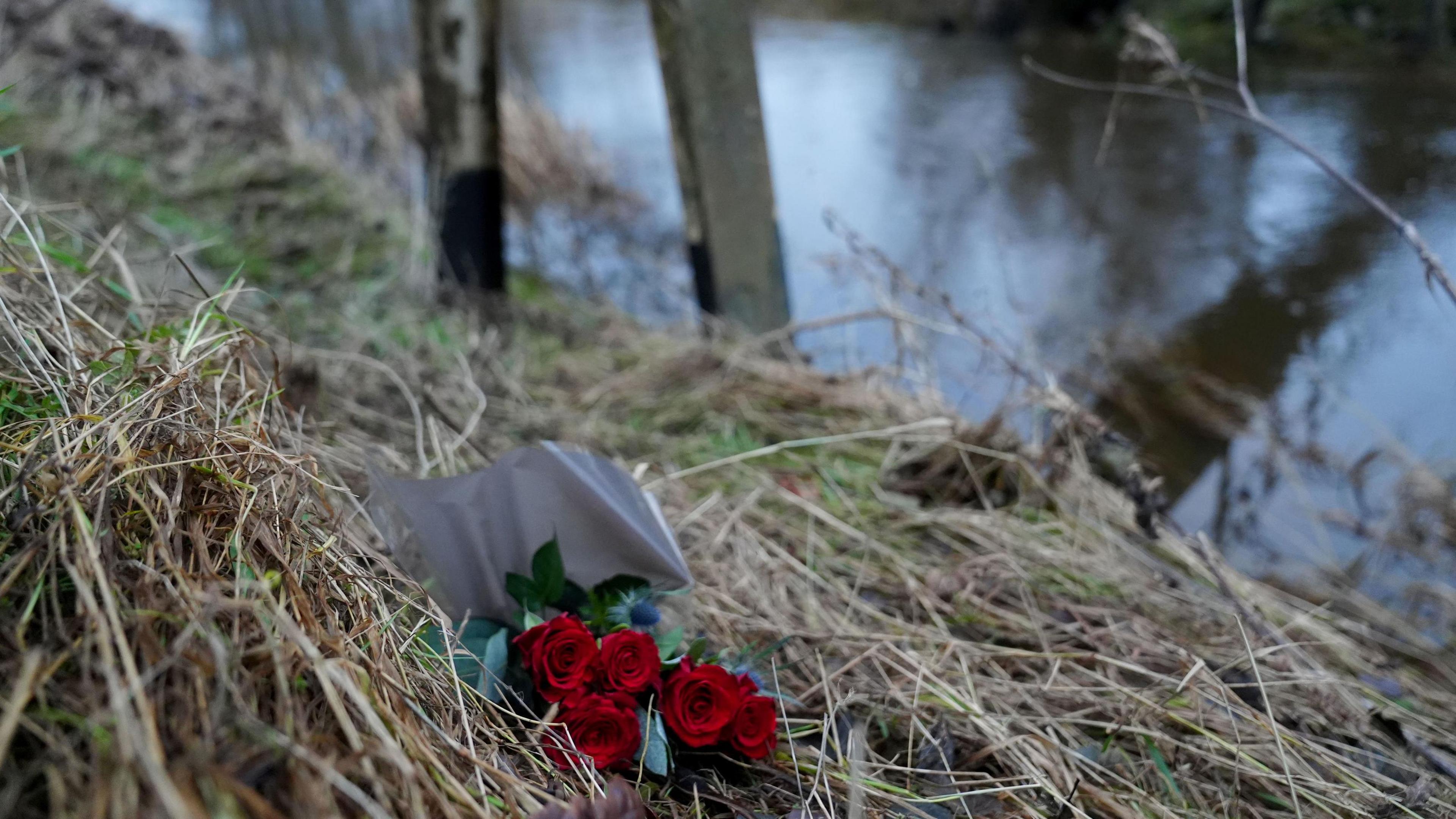 A bunch of red roses have been placed on the riverbank 