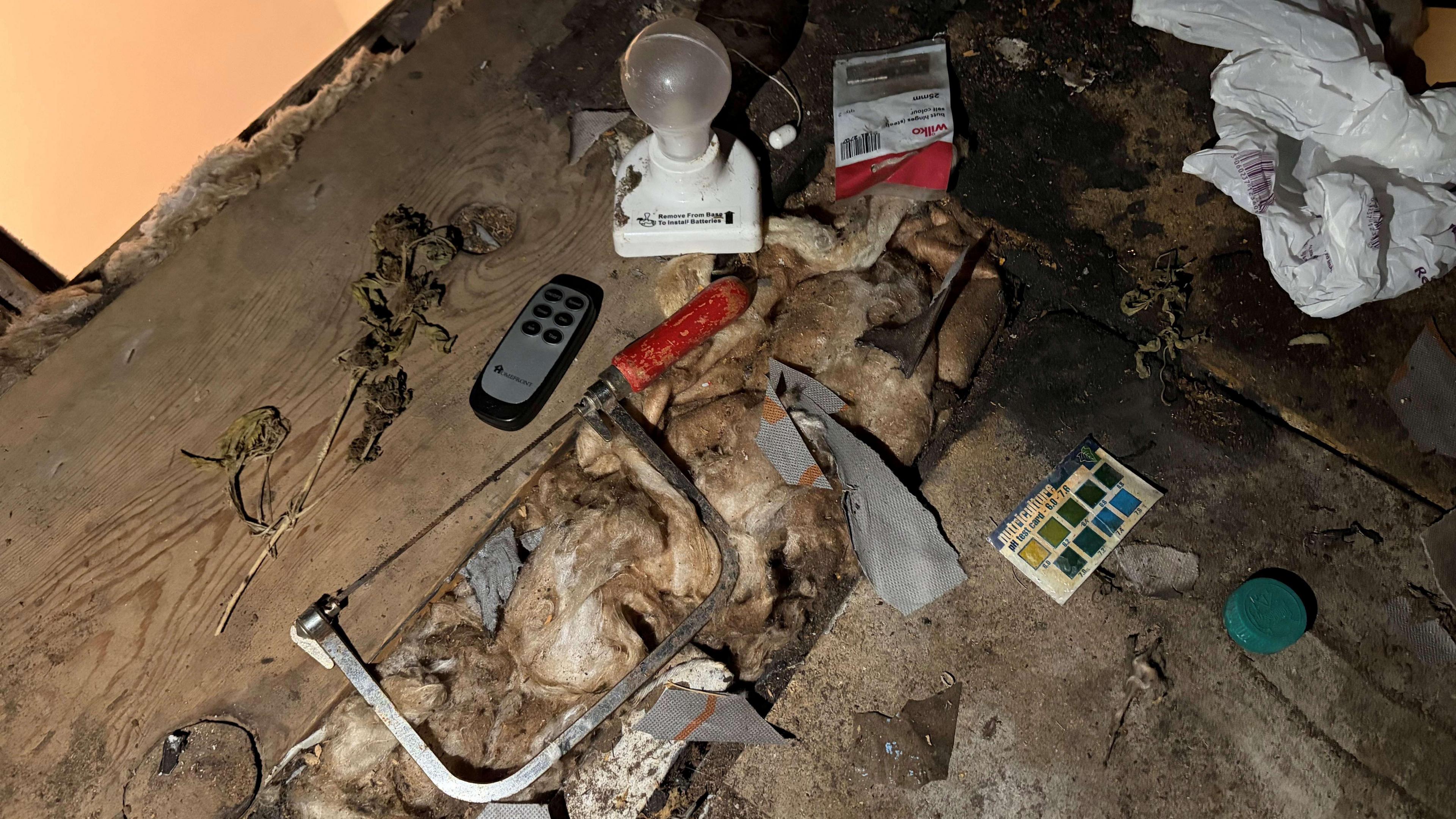 Cannabis leaves, a lamp, soil and a pH card on the floor