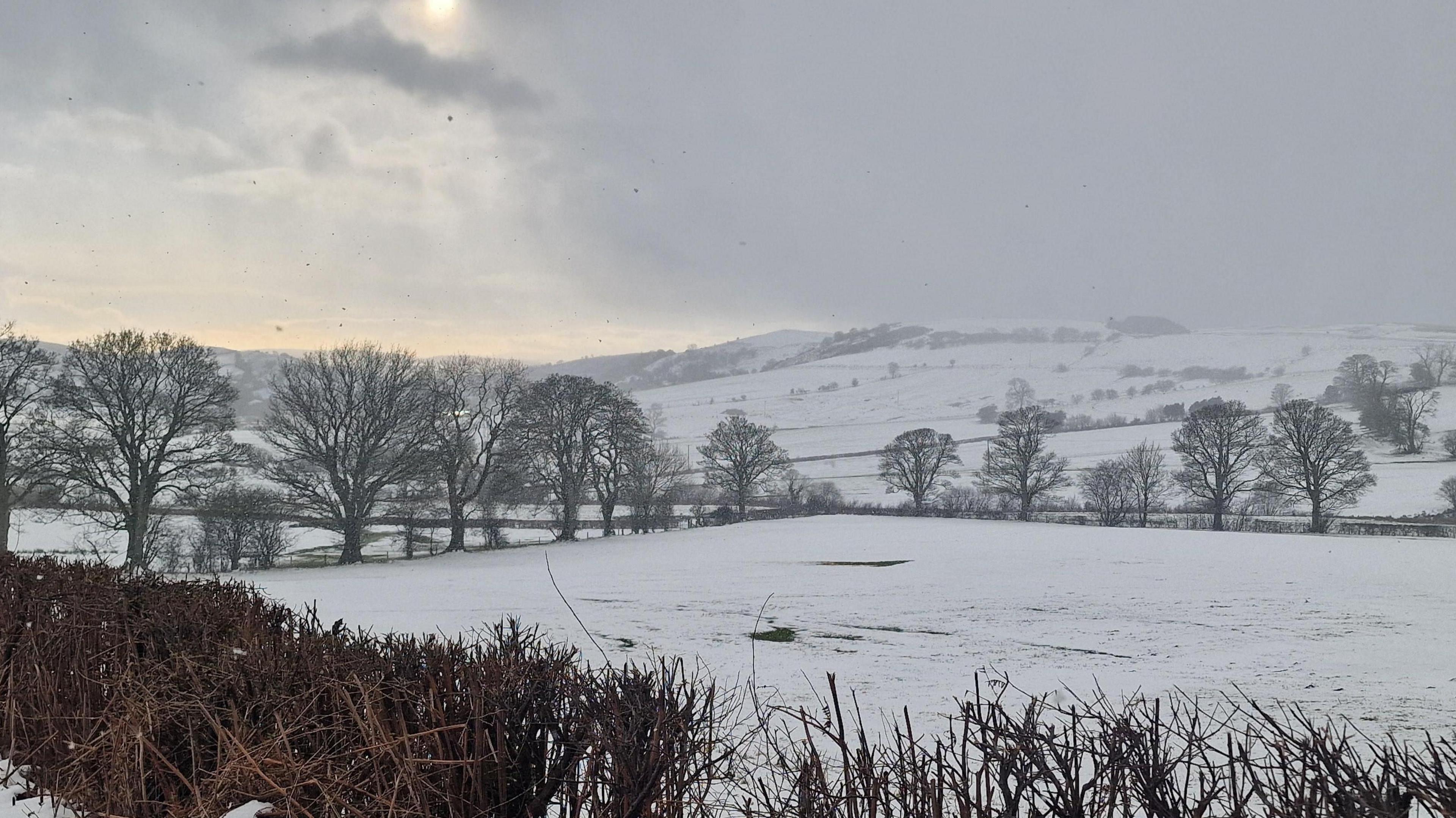 Hedges and trees border a snow-covered field, with a hillside in the distance