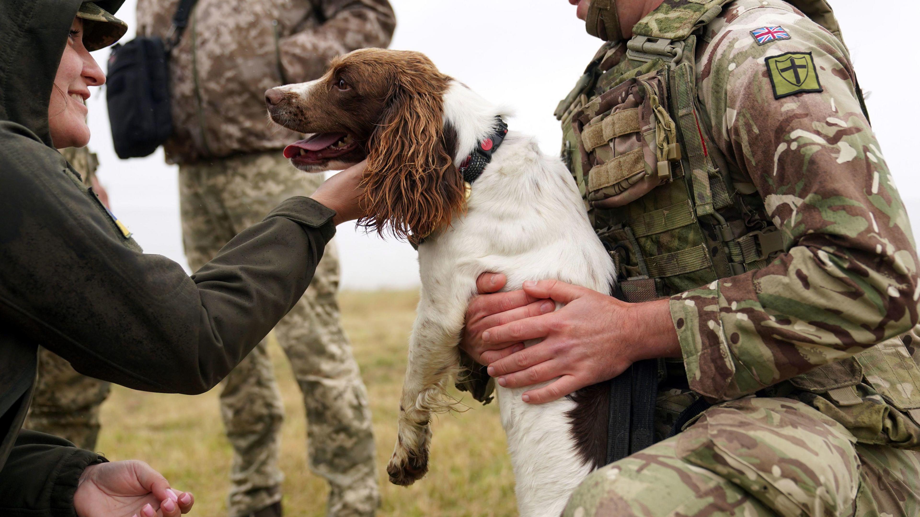 Ukrainian army personnel meet military working dog Sophie