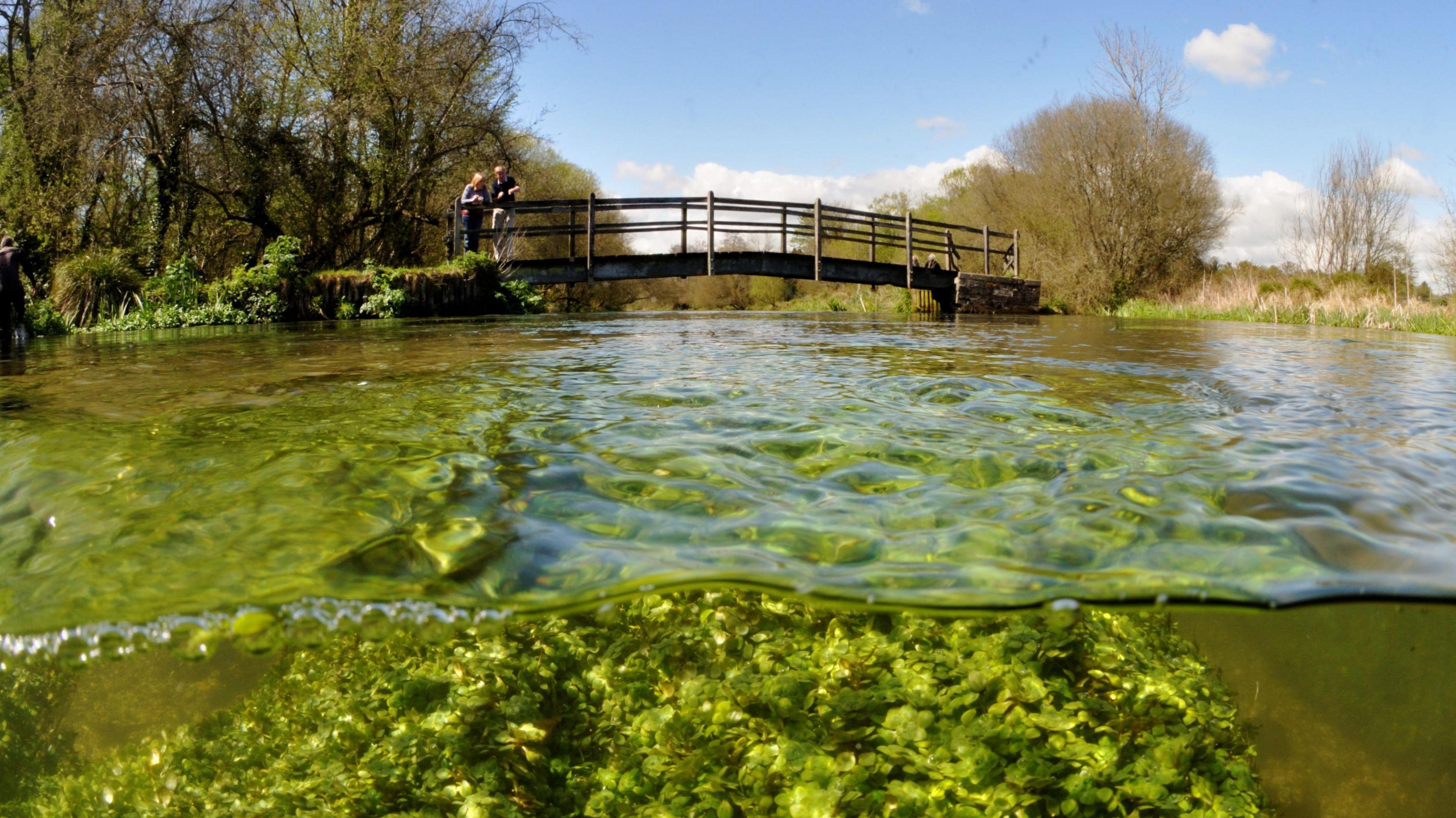 A chalk stream passes underneath a wooden footbridge.