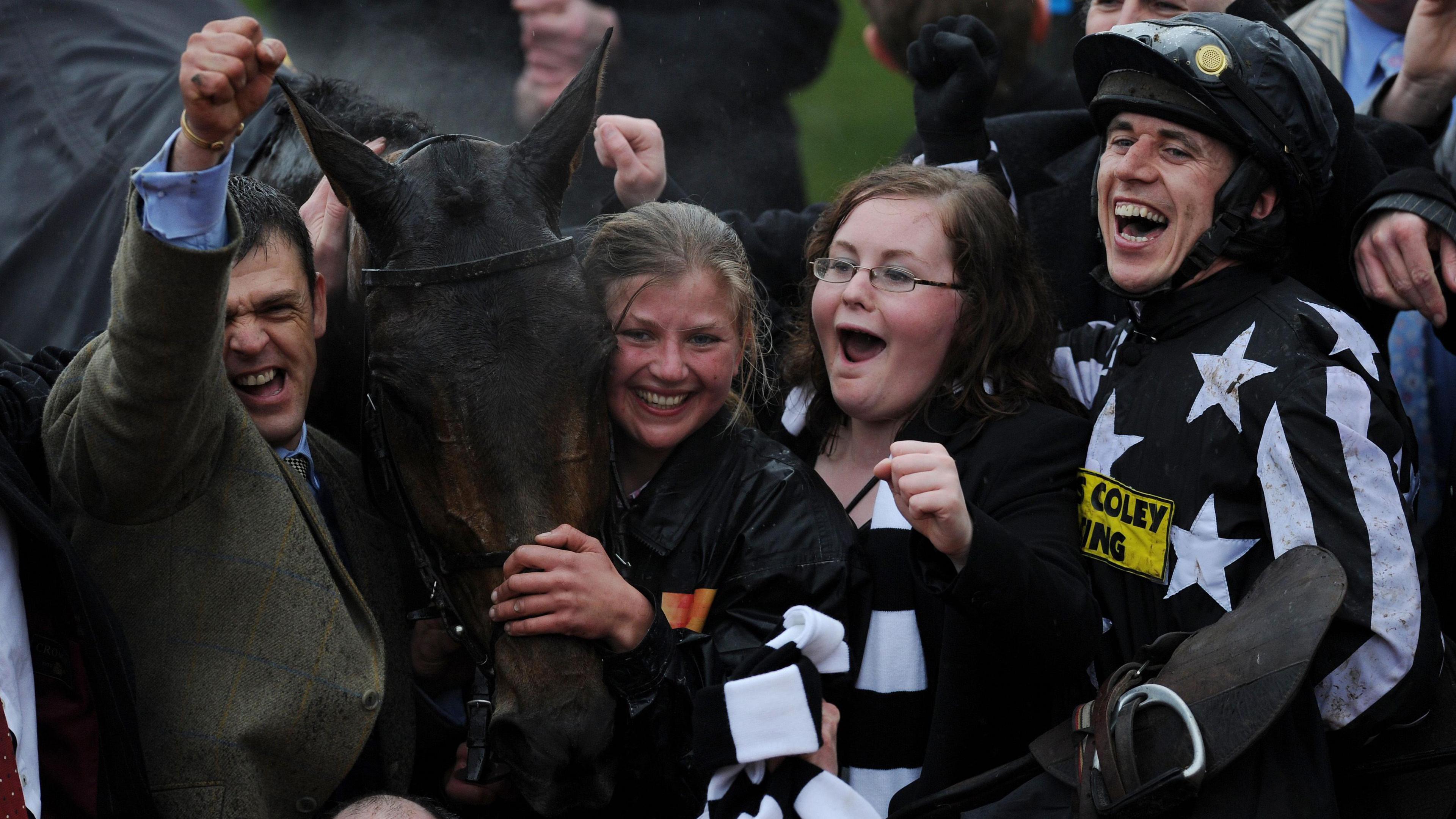 Four people, including a jockey, gather around a bay horse following a win at Cheltenham Festival