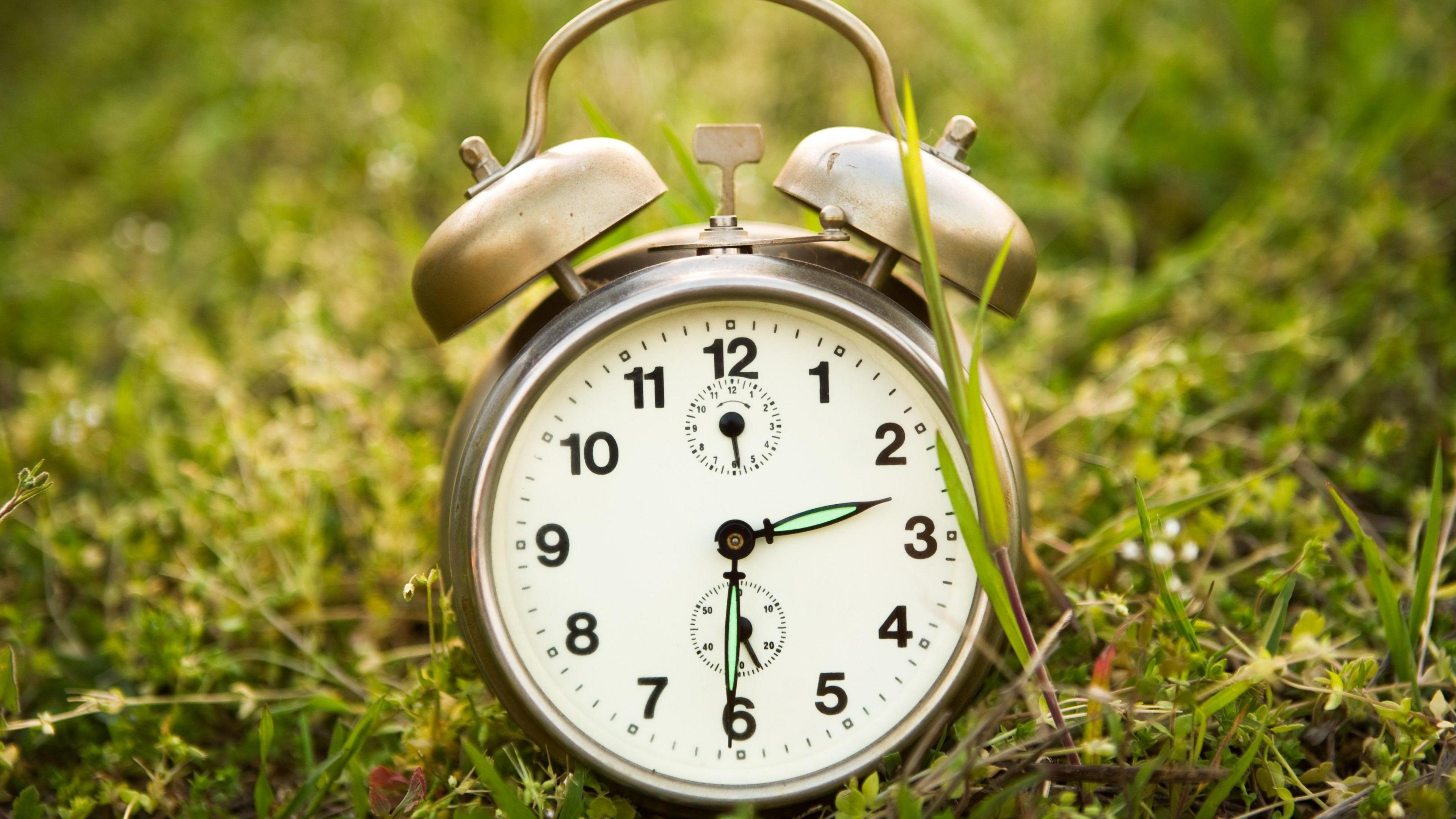 An alarm clock standing on grass, weeds and flowers.