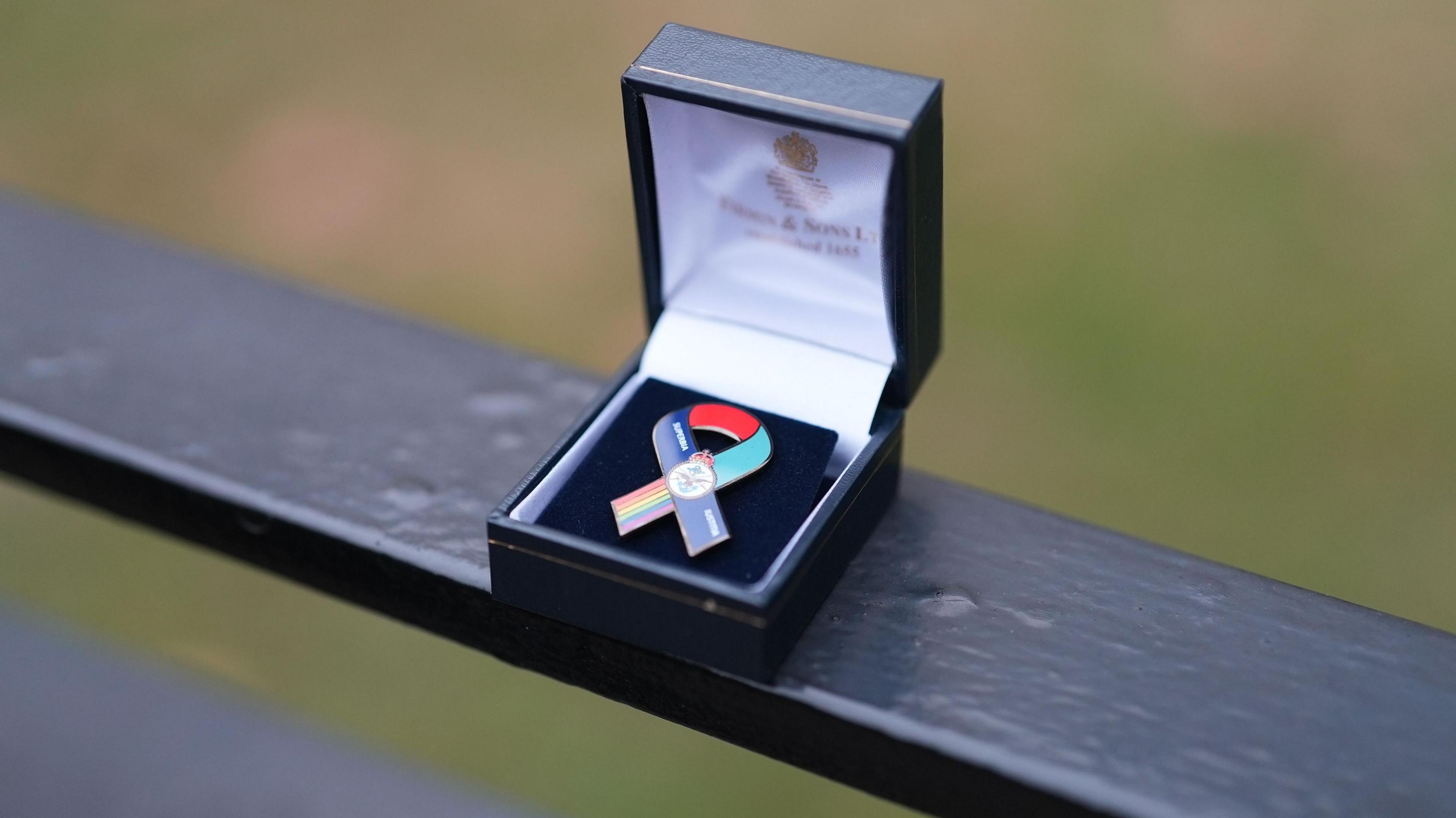 The pin badge, or ribbon, on display in a small box, is ribbon shaped. It has a rainbow on one edge and is otherwise red, dark blue and light blue.