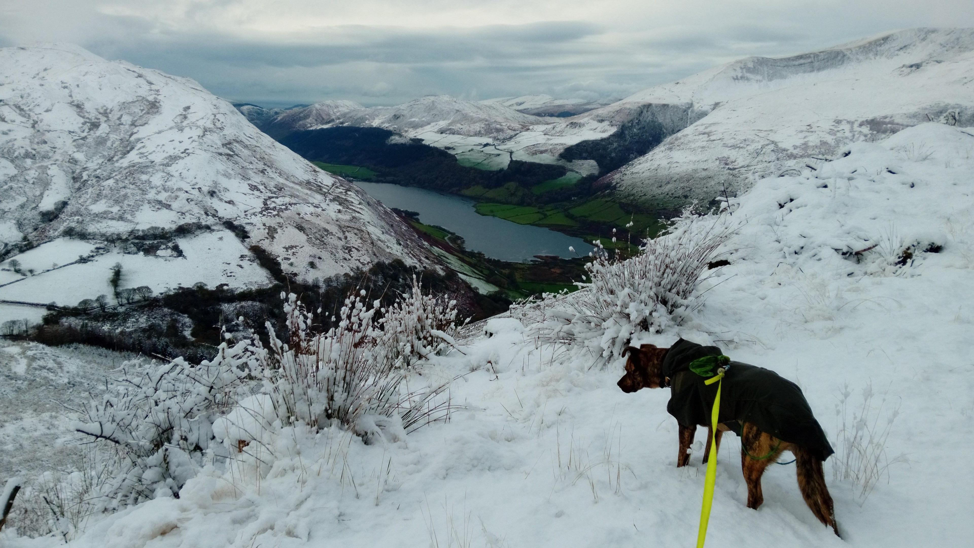 Yr olygfa o'r mynyddoedd o amgylch Llyn Mwyngil yng Ngwynedd ddydd Mawrth