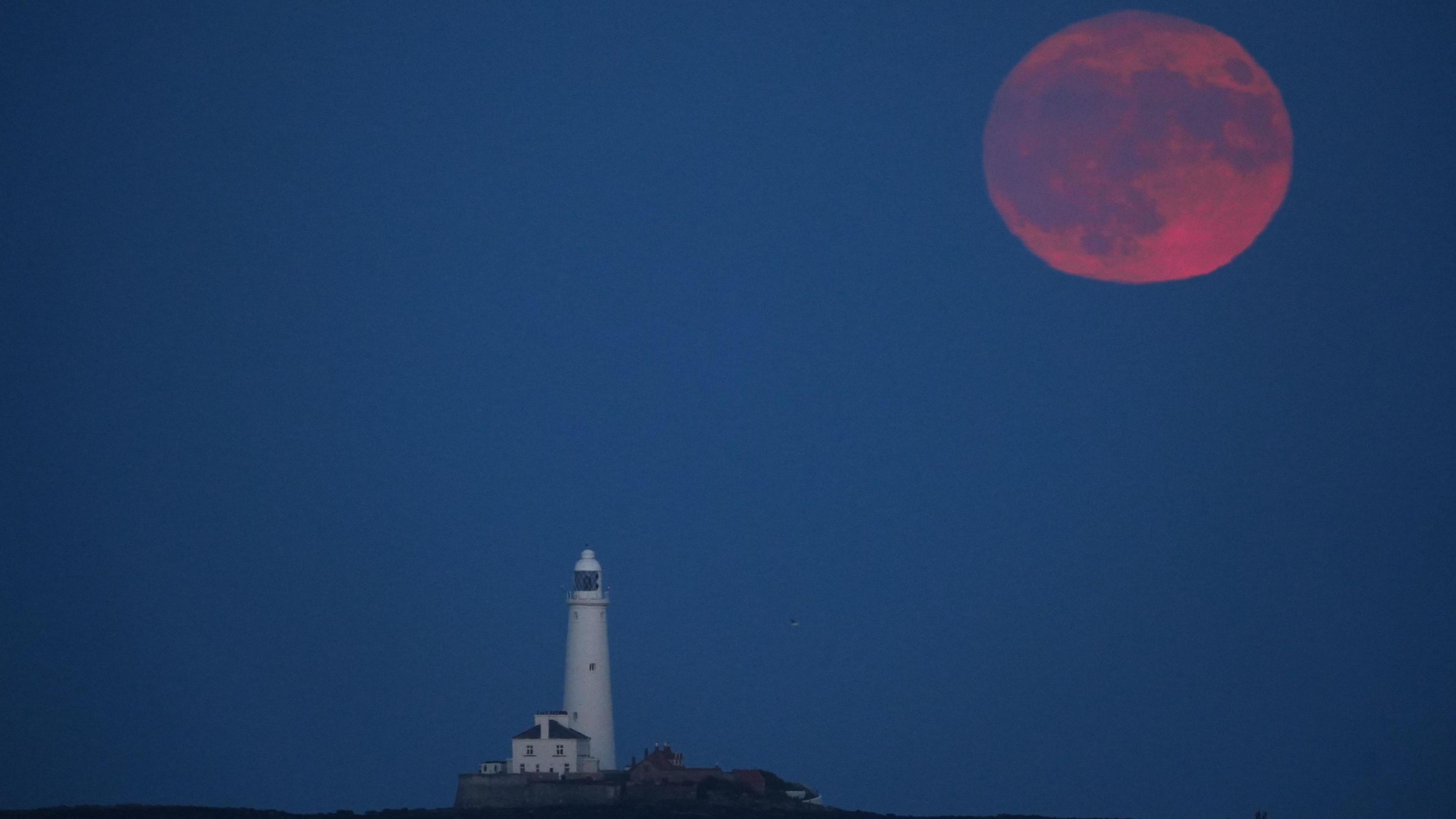 Strawberry Moon rising over St Mary's Lighthouse in Whitley Bay.