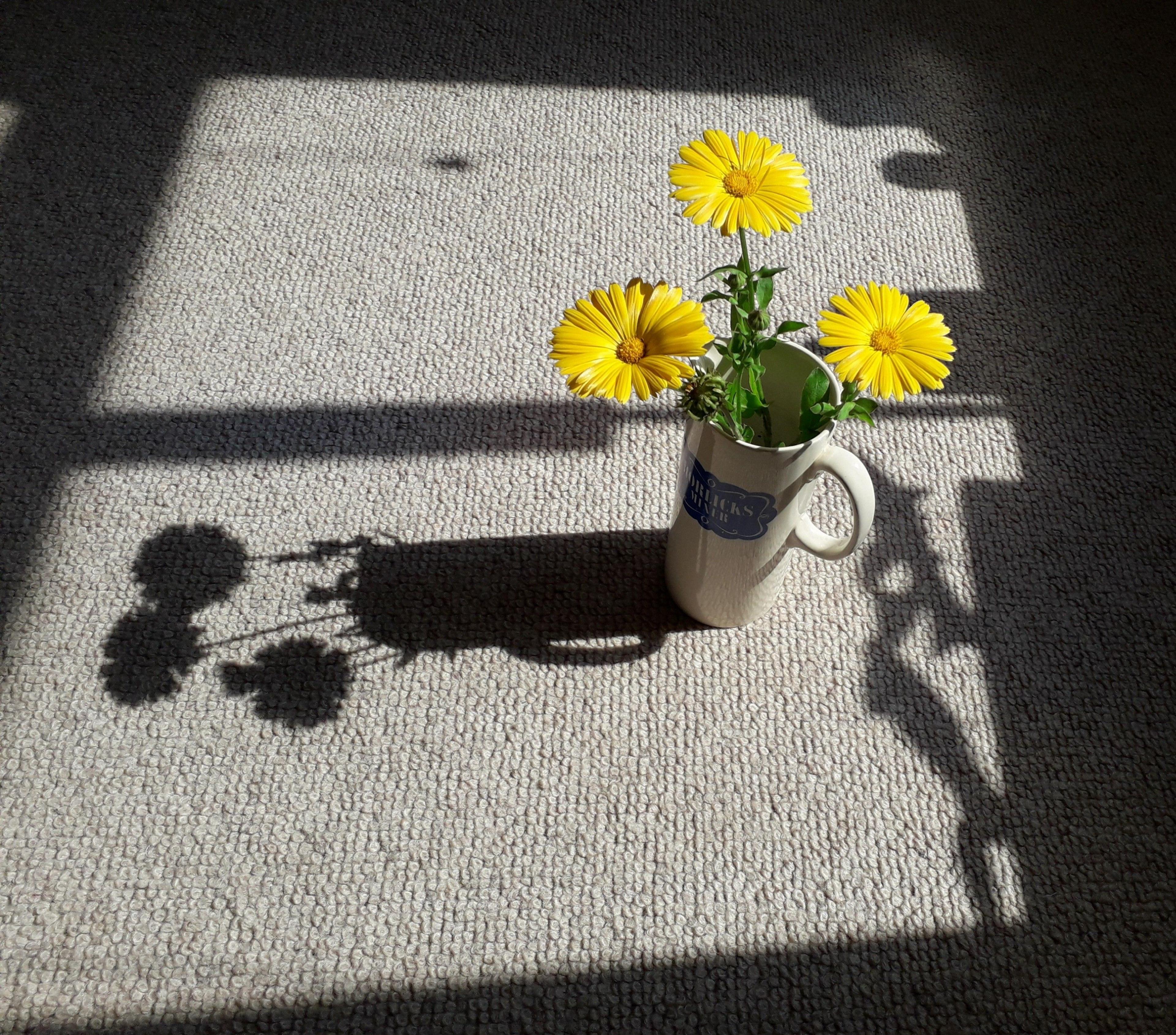 A jug of yellow Calendula flowers in bright sunlight, which accentuates the shadow of the vase on a grey carpet