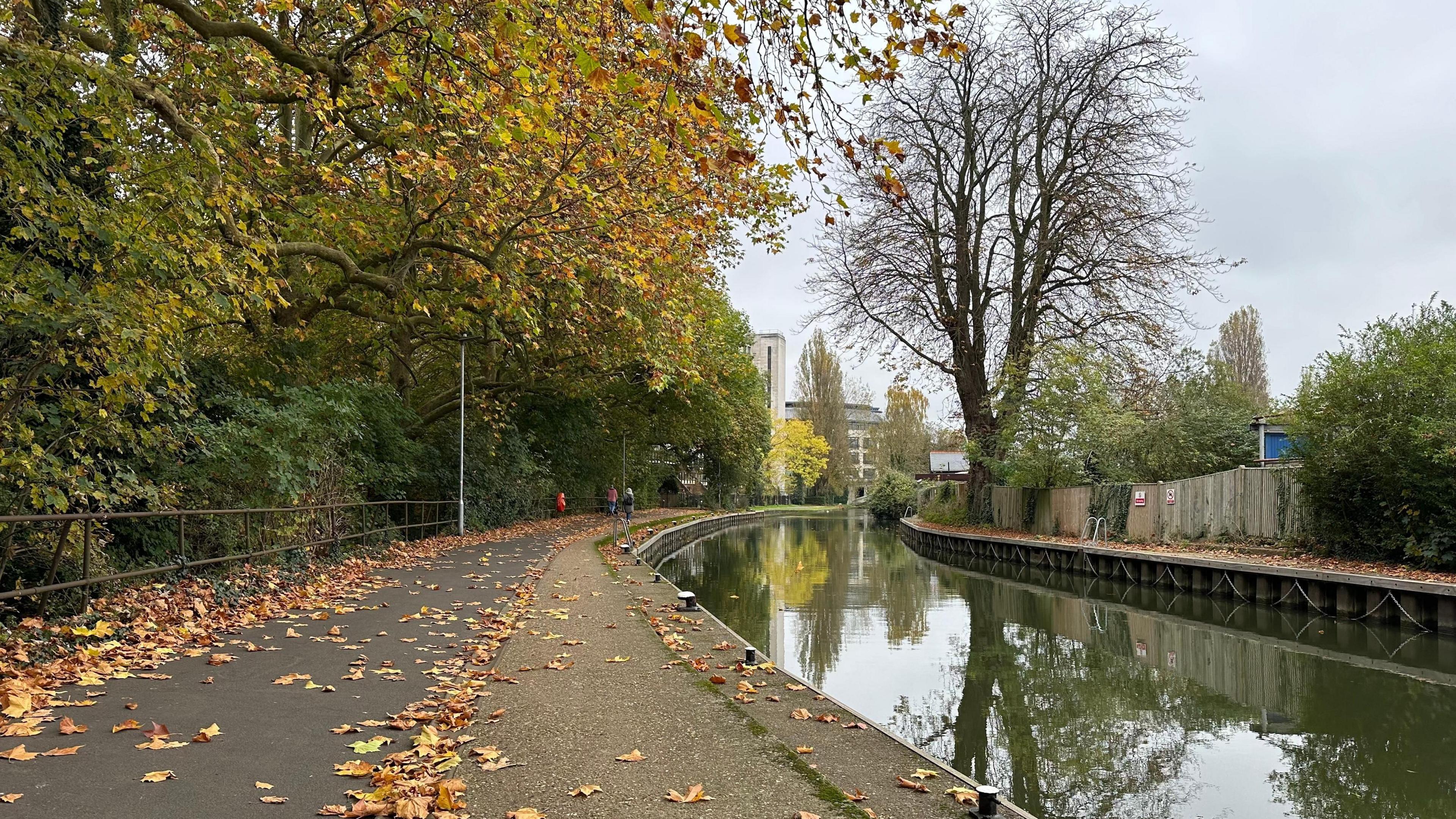 A path alongside a body of water covered in brown leaves. You can see people walking in the distance and the trees overhead have brown leaves. There are several buildings in the distance and trees are reflected in the water.