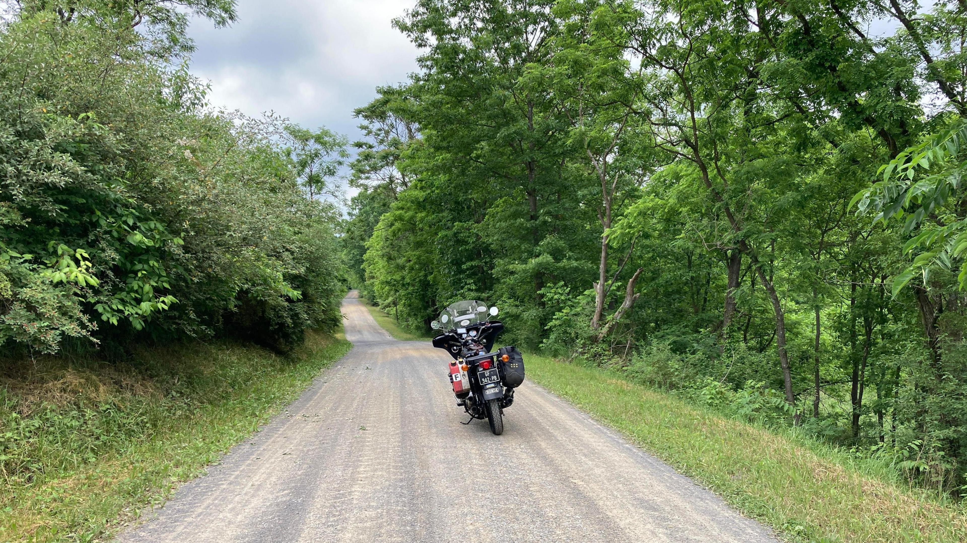 A motorbike parked in the middle of a forest road with green trees and bushes overhanging the narrow road