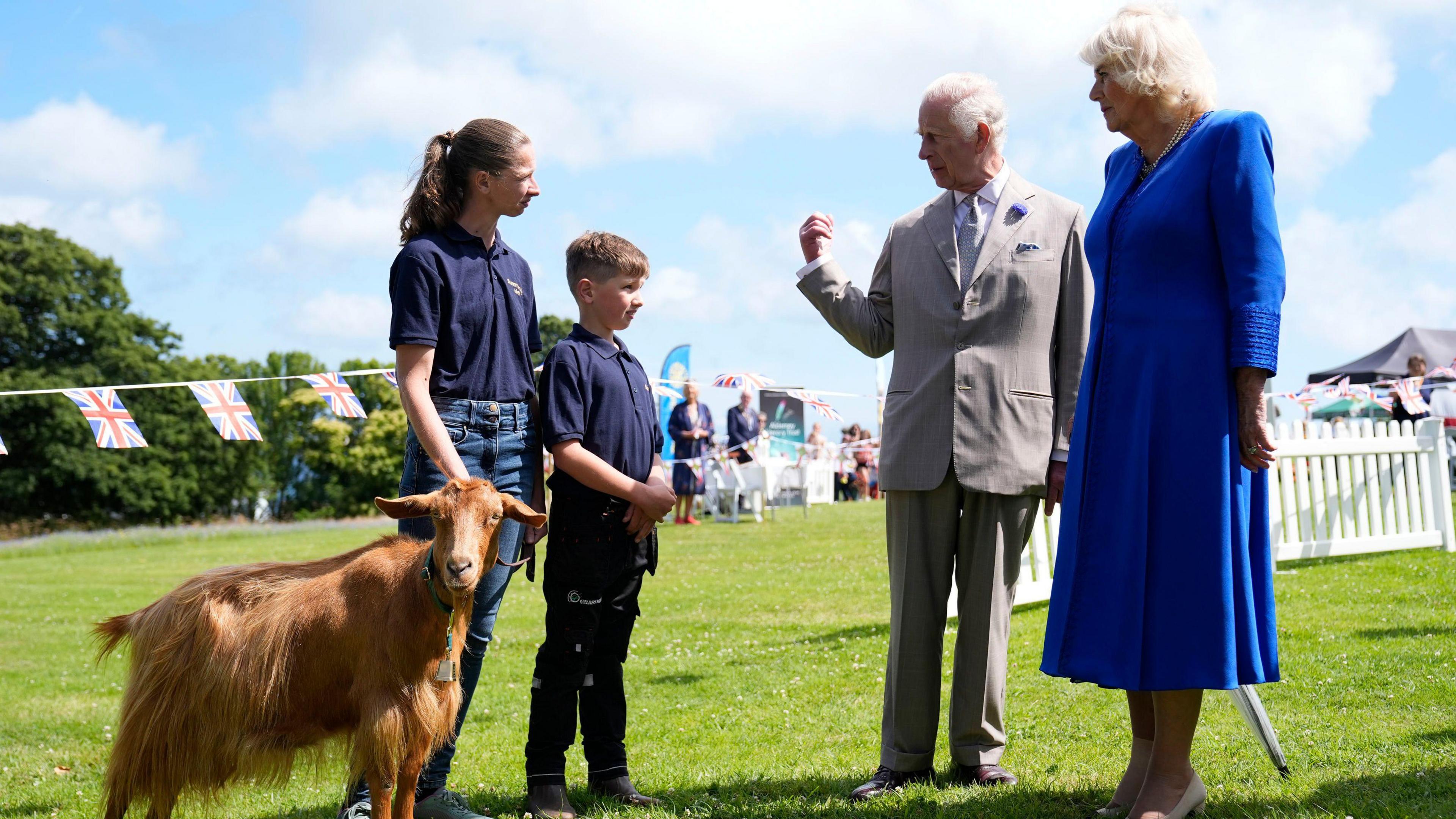 King Charles III and Queen Camilla viewing rare Golden Guernsey Goats during a visit to Les Cotils at L'Hyvreuse, in Saint Peter Port, Guernsey