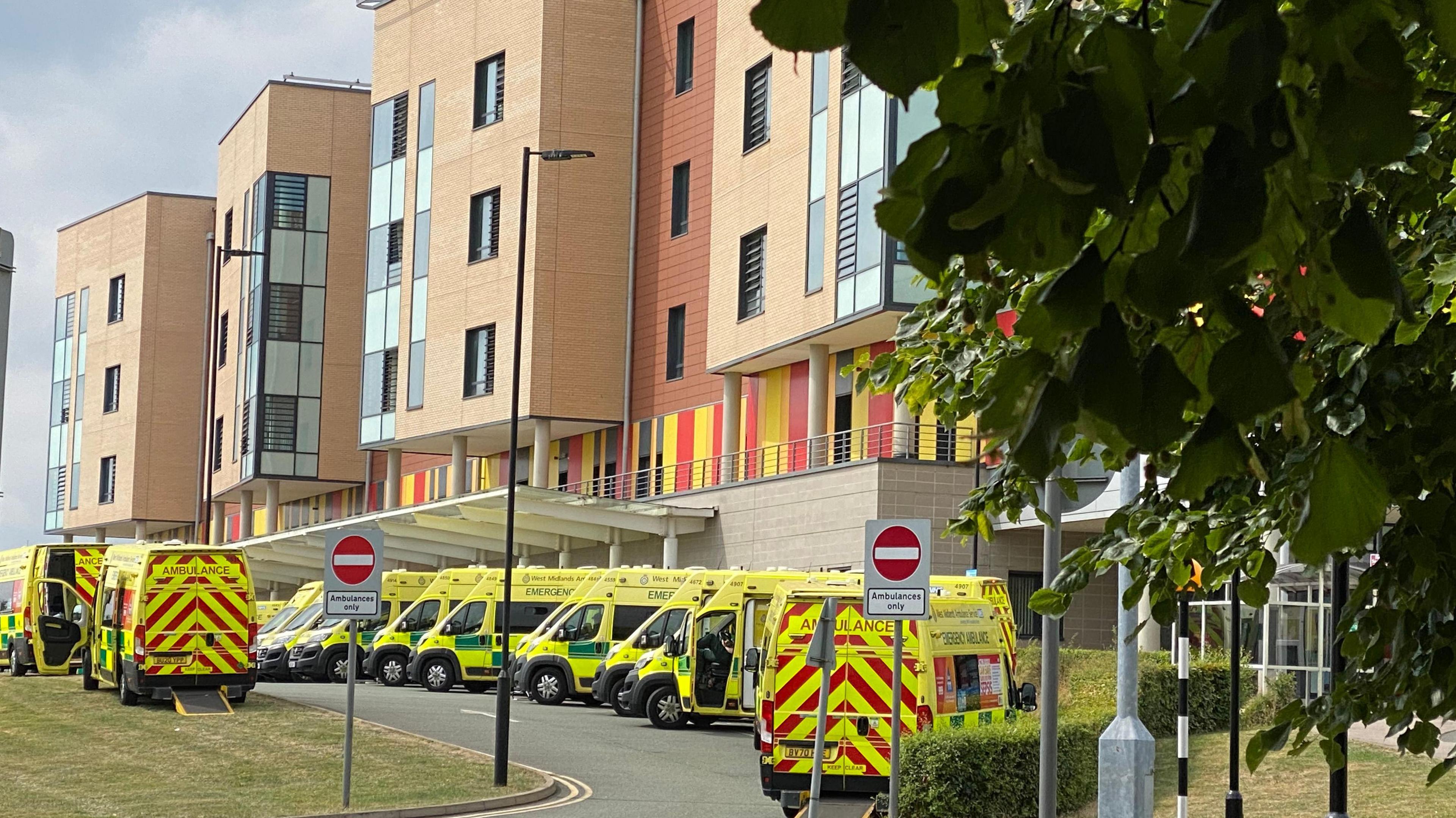 A large number of ambulances parked in front of a new-build hospital with red and yellow cladding and a leafy tree on the right side on the image