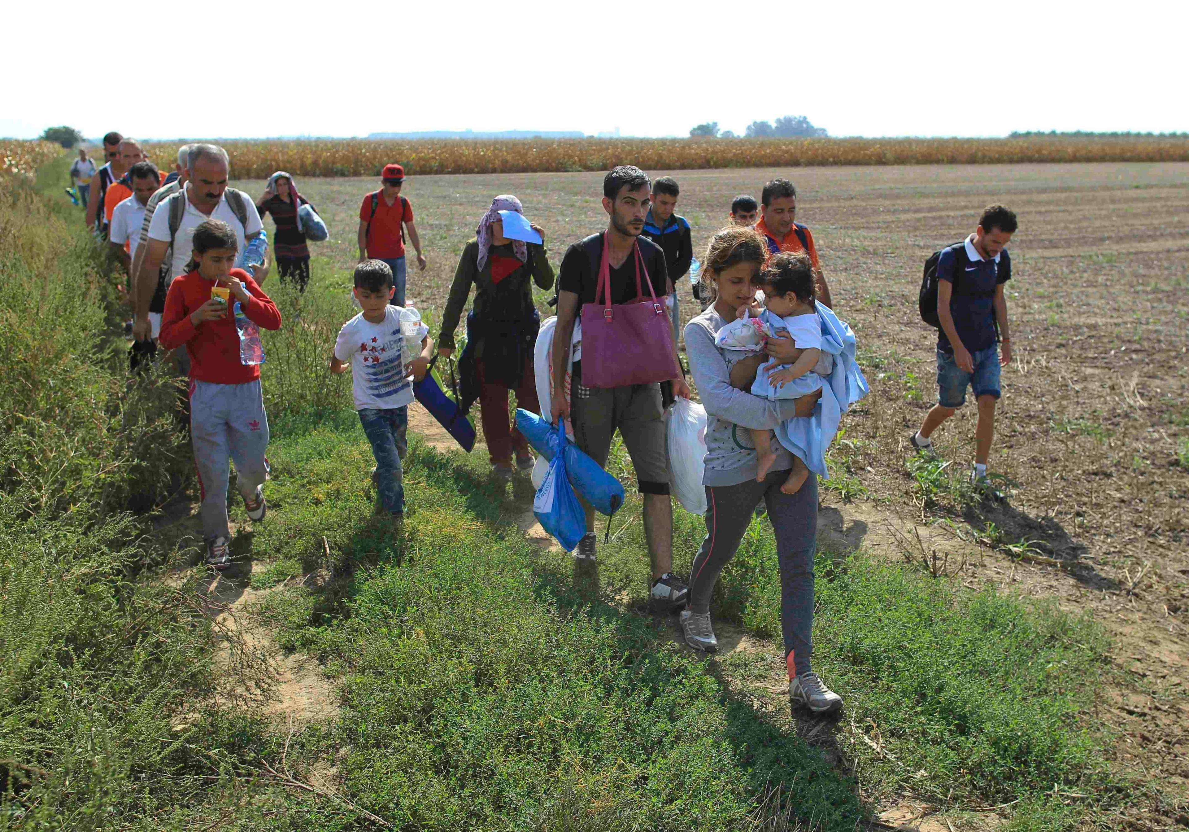 A group of migrants walk on the Serbian side of the border with Croatia, near the town of Sid.