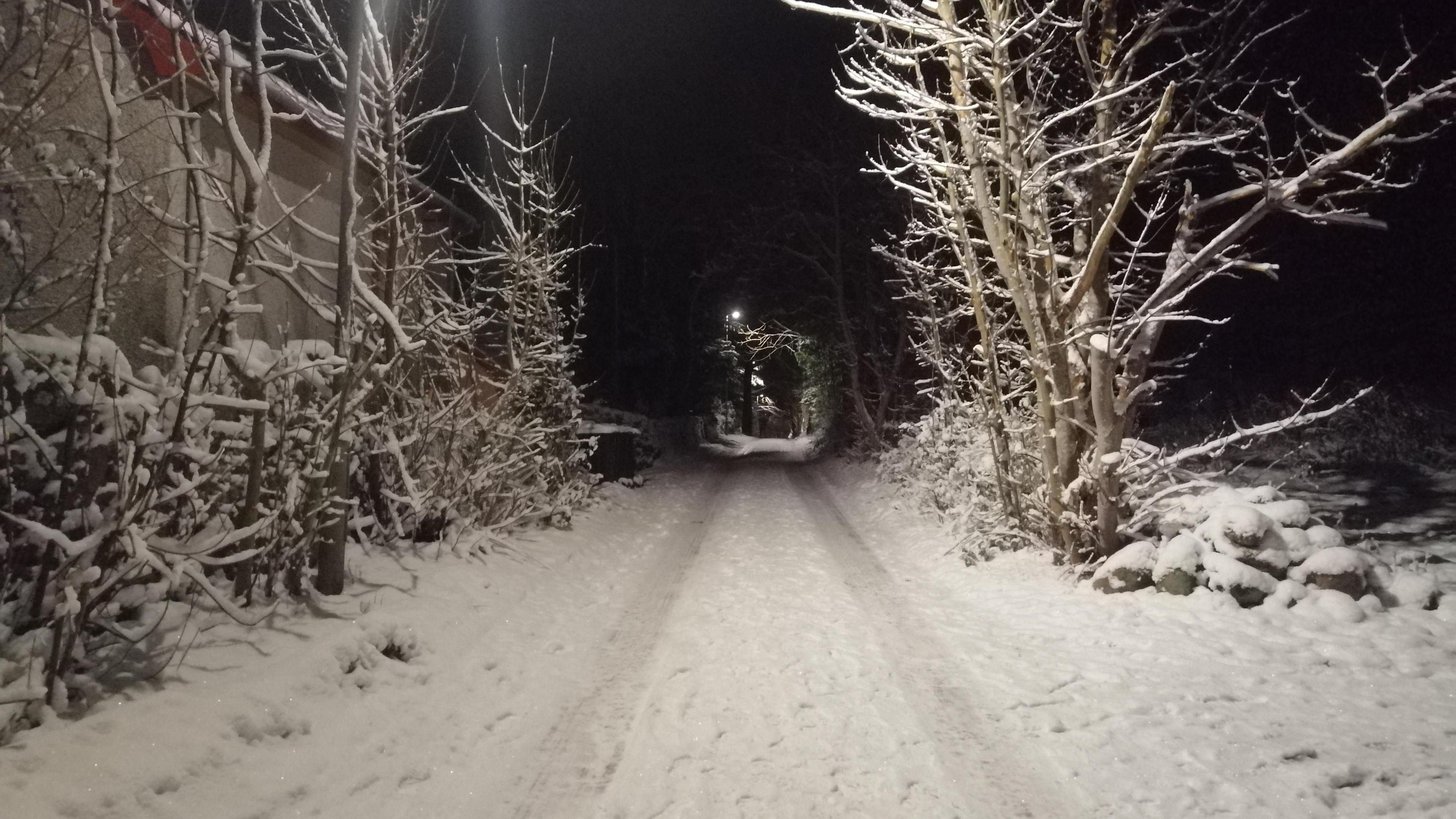 A road leading through woodland is covered in snow. Track prints of a vehicle are in the snow.