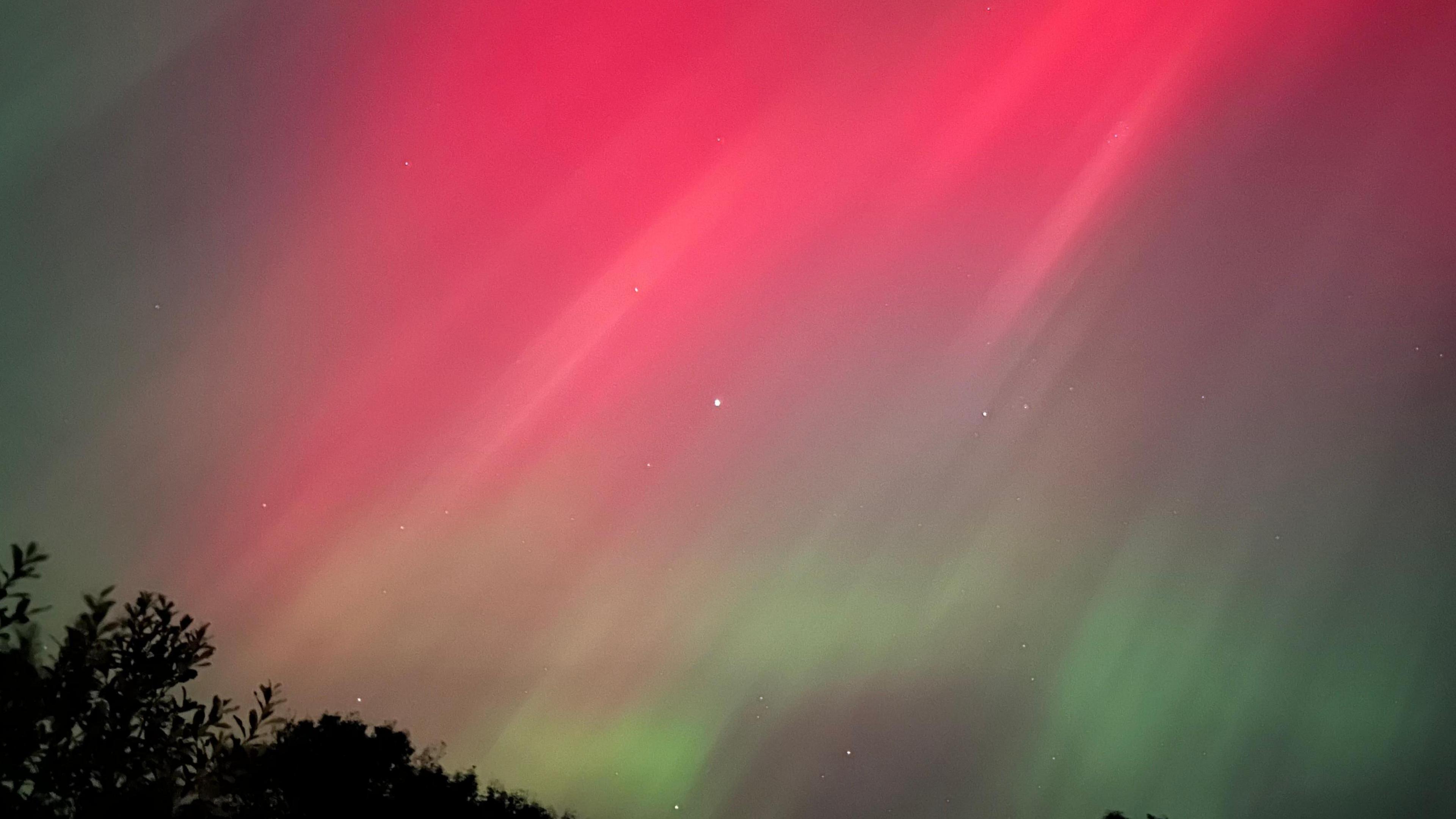 Red and green beams of light streak across the clear night sky with stars visible. Below are the black silhouettes of tree tops. 