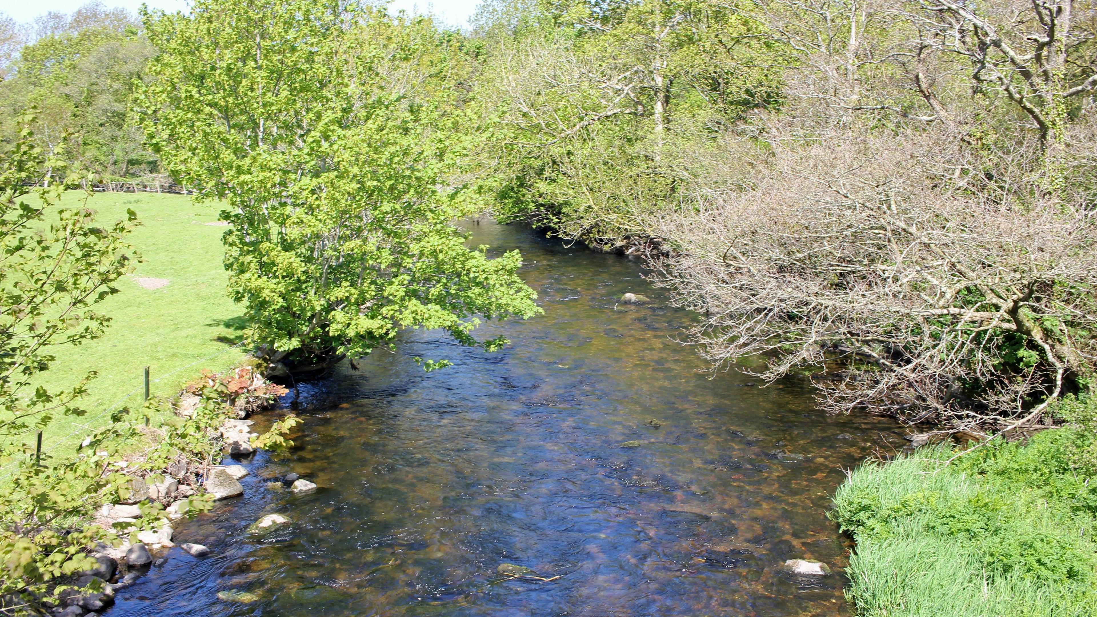 Afon Gwyrfai