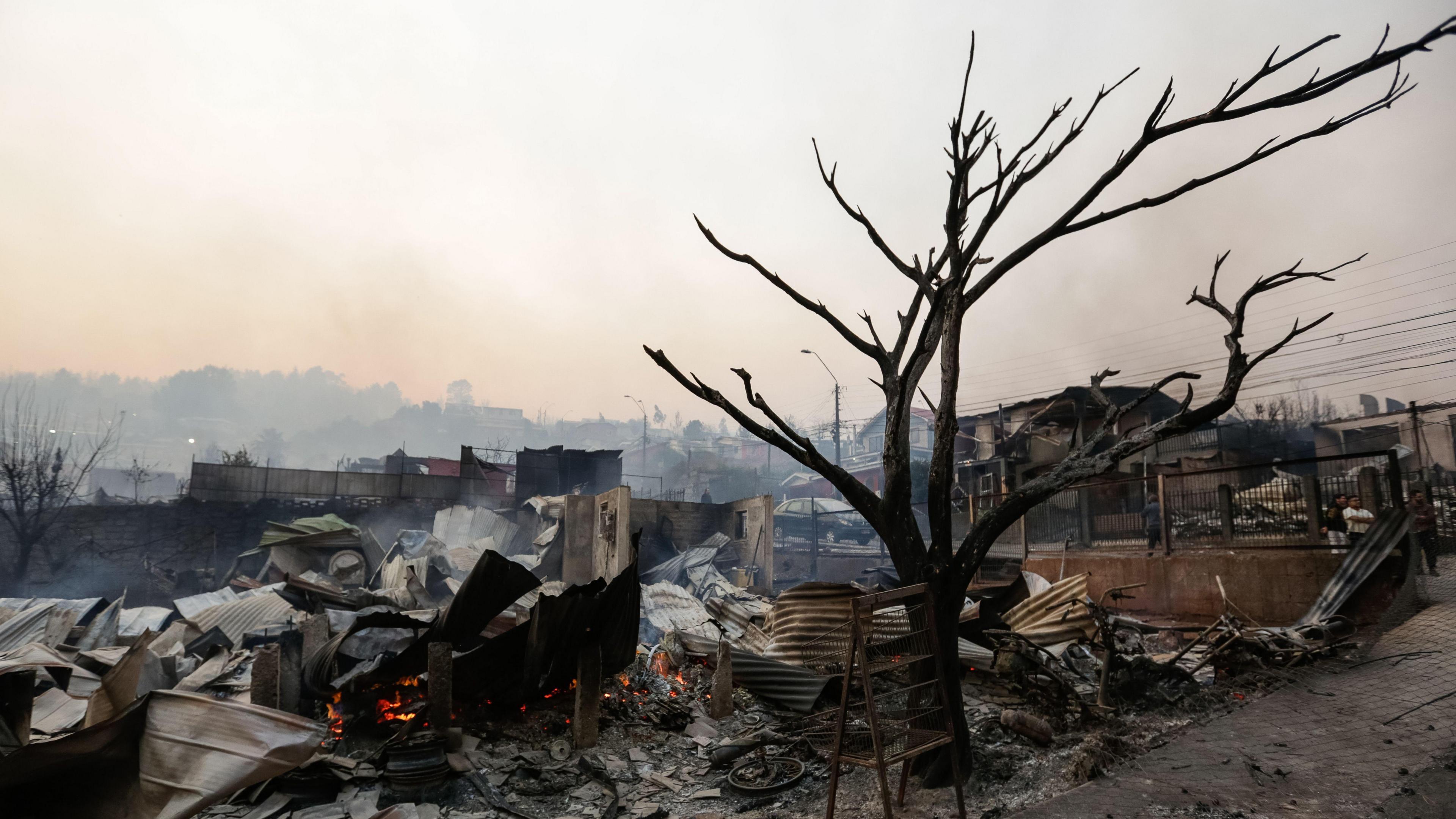 A burnt tree stands surrounded by debris in an area damaged by wildfires in Penco, Chile