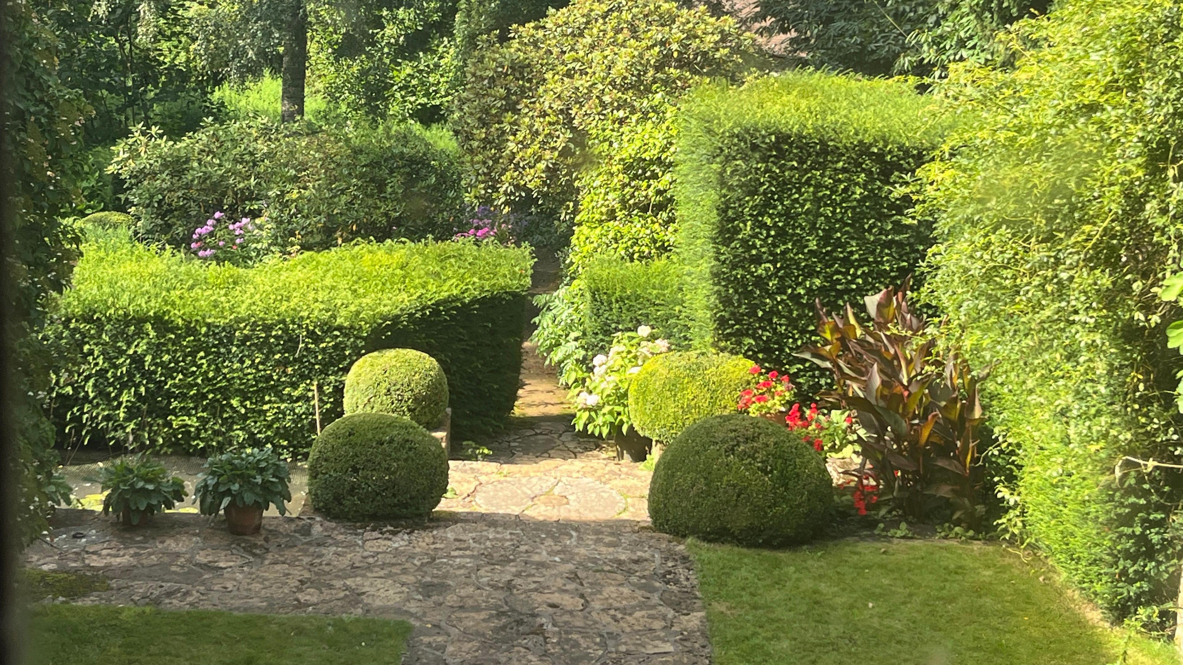 A sunny garden path surrounded by sculptured bushes. 