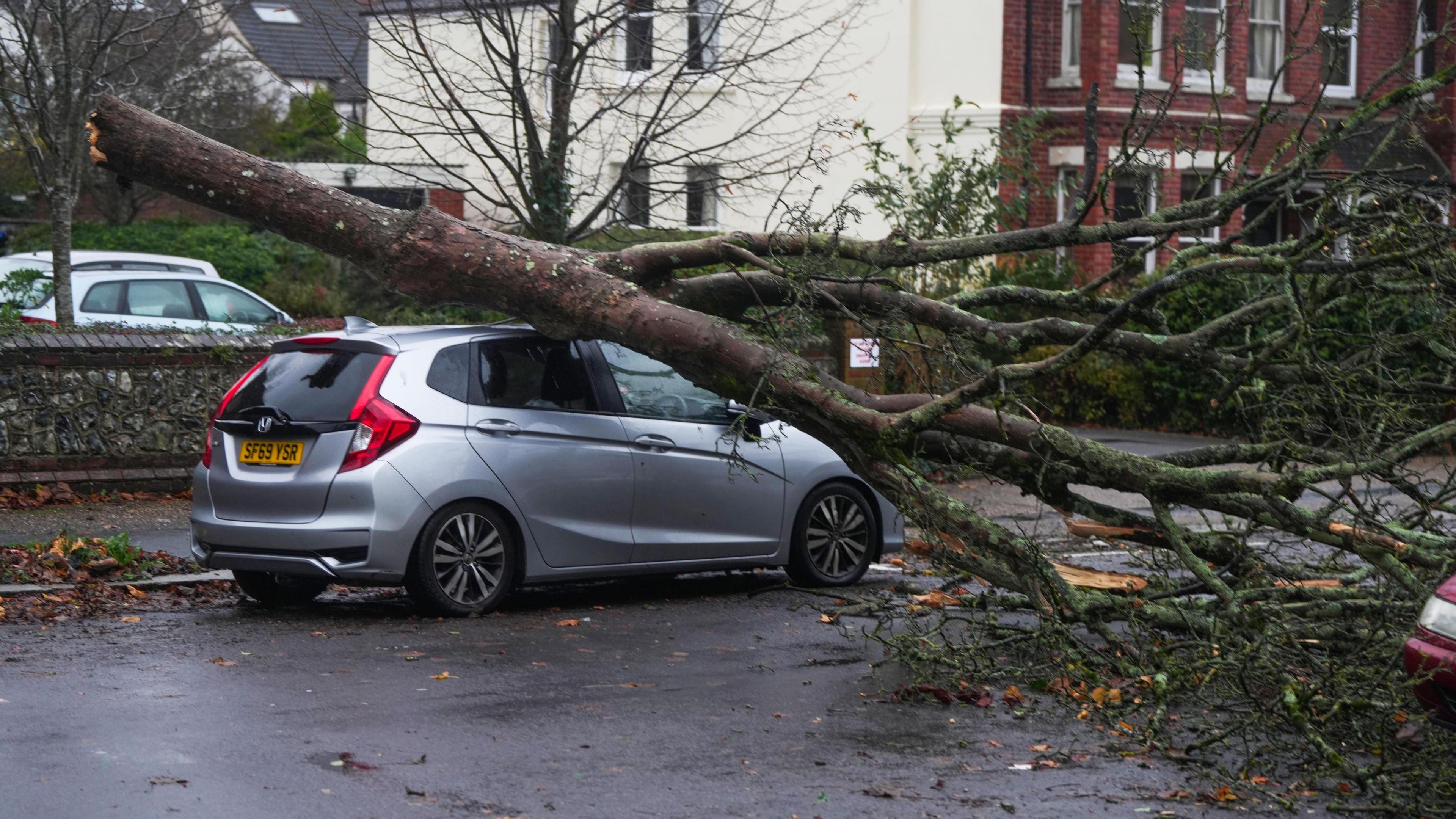 A fallen tree on top of a silver car. There are houses in the background. 