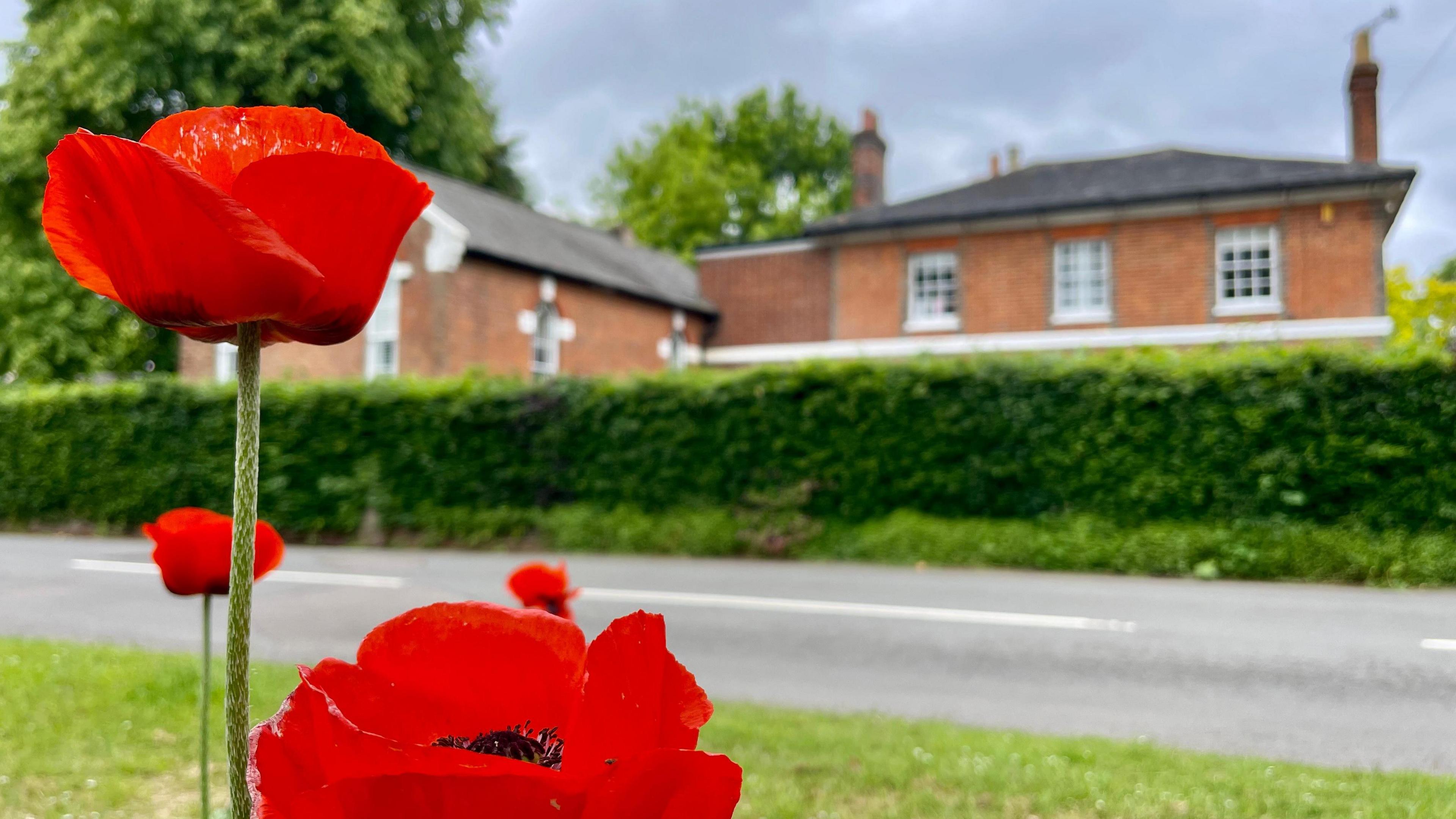 A flowery scene in Waltham St Lawrence