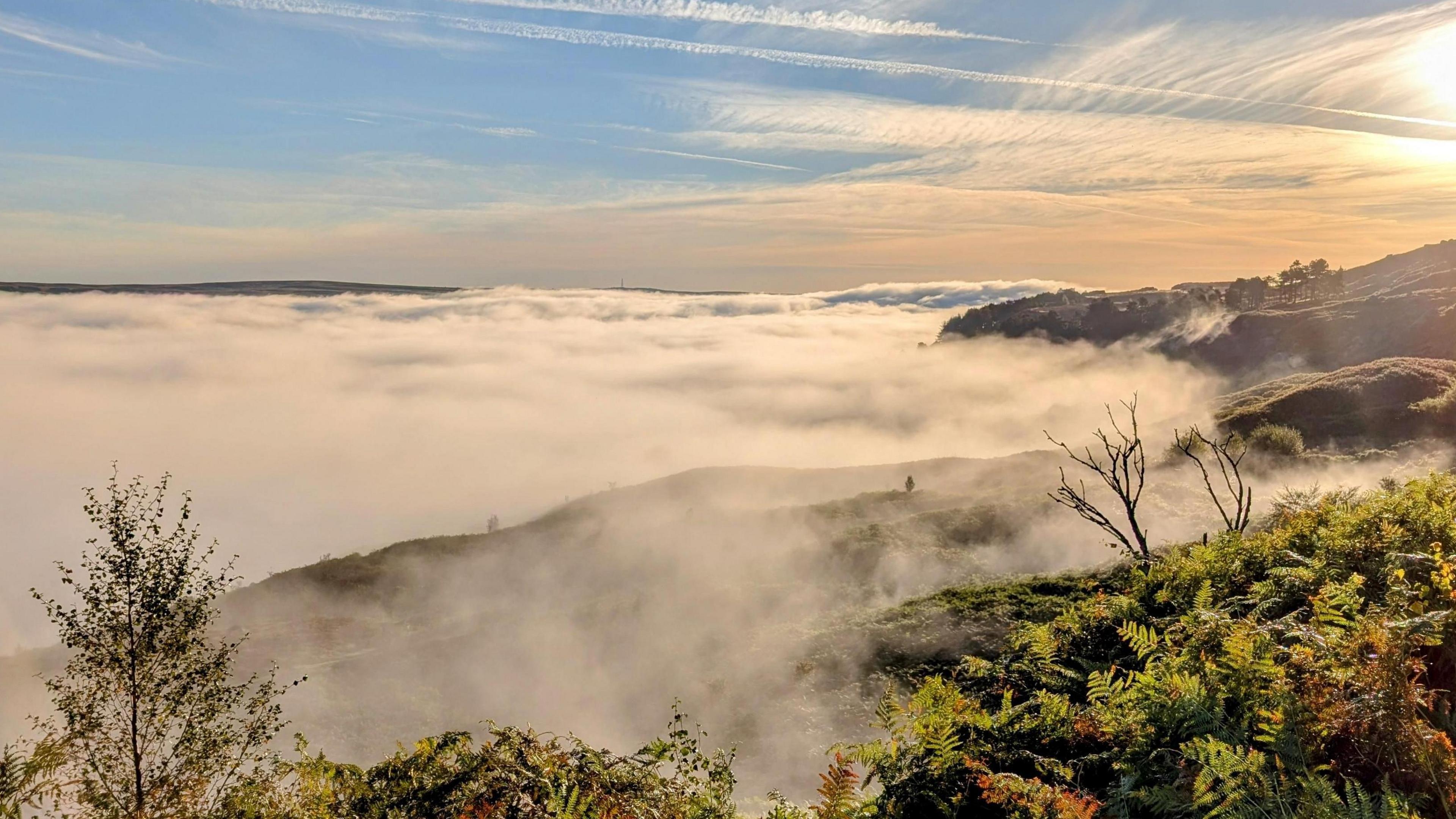 Fog flowing like water through a valley as the Sun rises