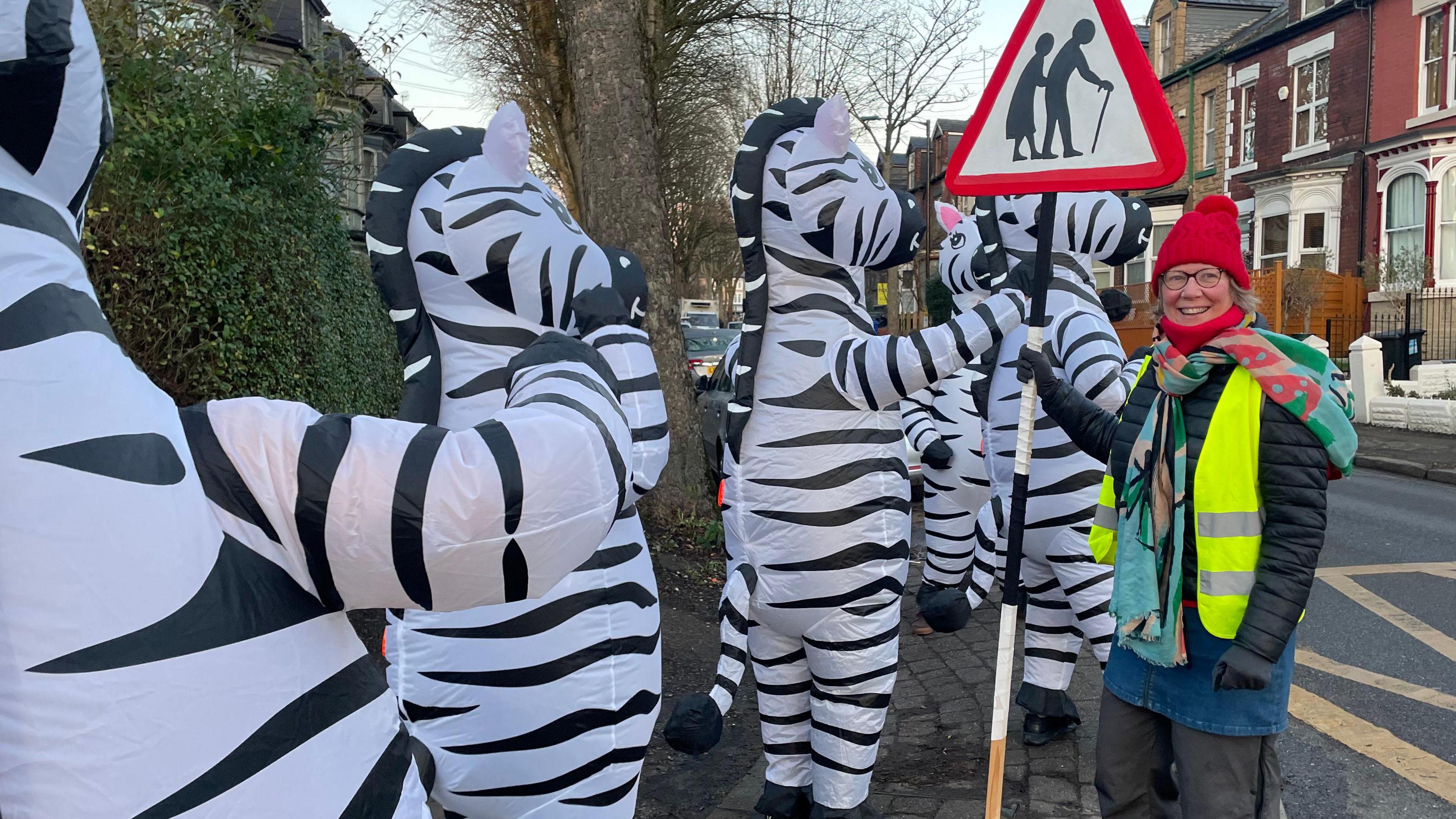 The zebra-parents by the side of the road are accompanied by an older woman in a high-visibility vest. She's holding a road sign warning of elderly pedestrians.