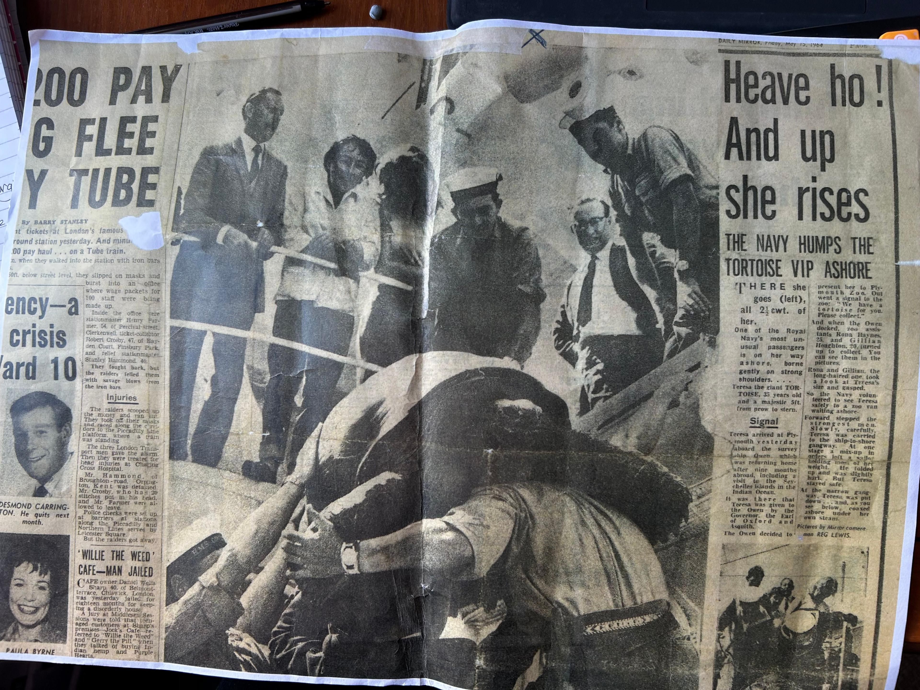 A newspaper clipping describing how Theresa was given to the Royal Navy ship. A picture shows the tortoise being lifted off the ship by men while men in Navy uniforms and two women look down at it