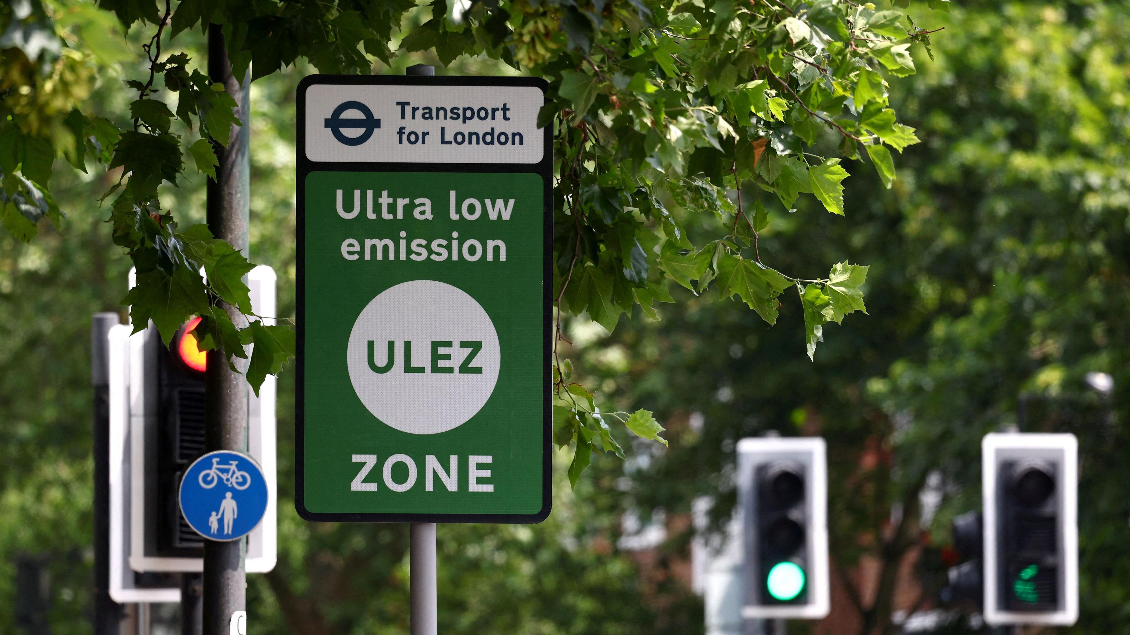 Ulez zone sign pictured below tree branches