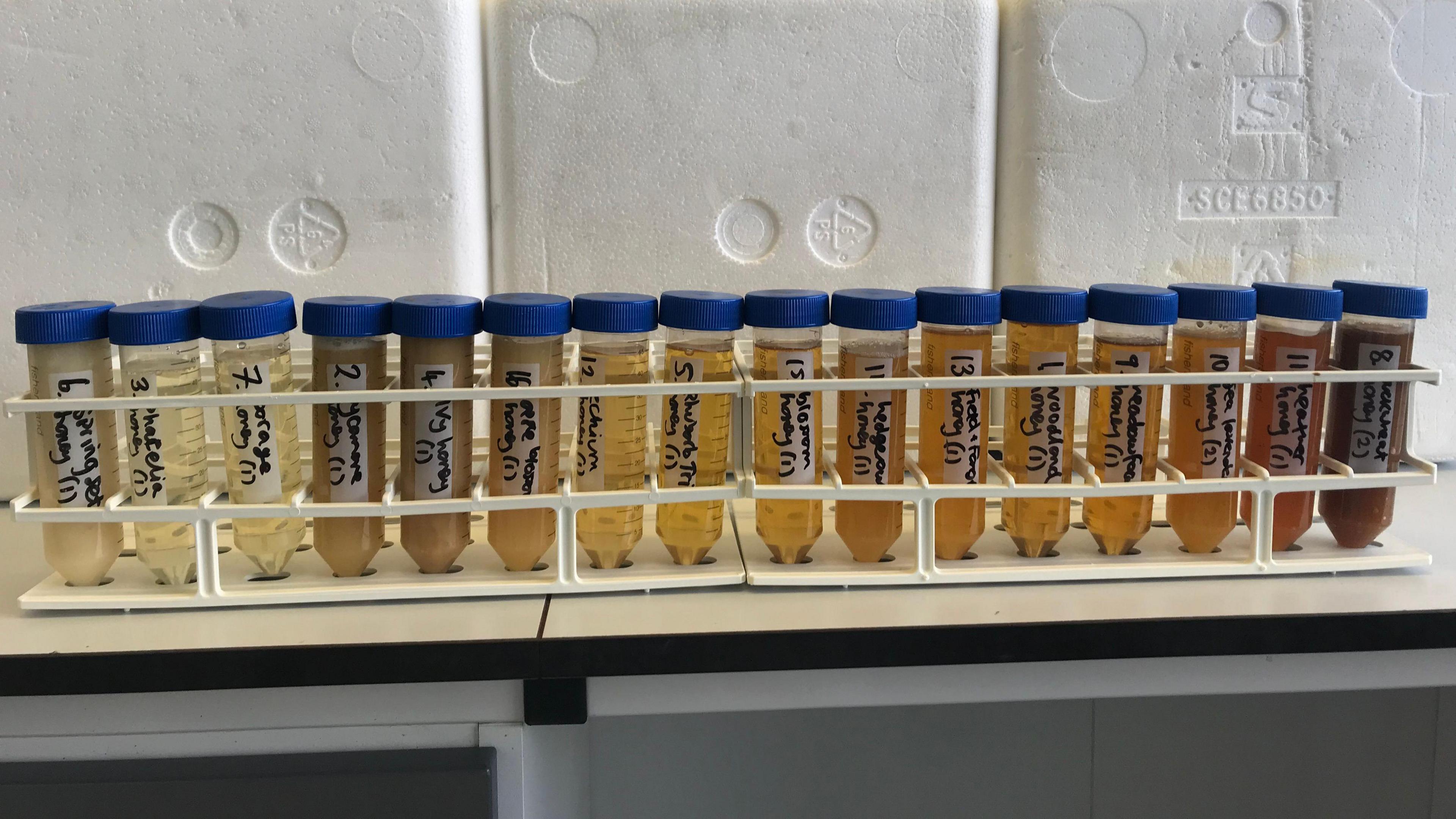 A row of tubes with different types of honey in them with labels written on them