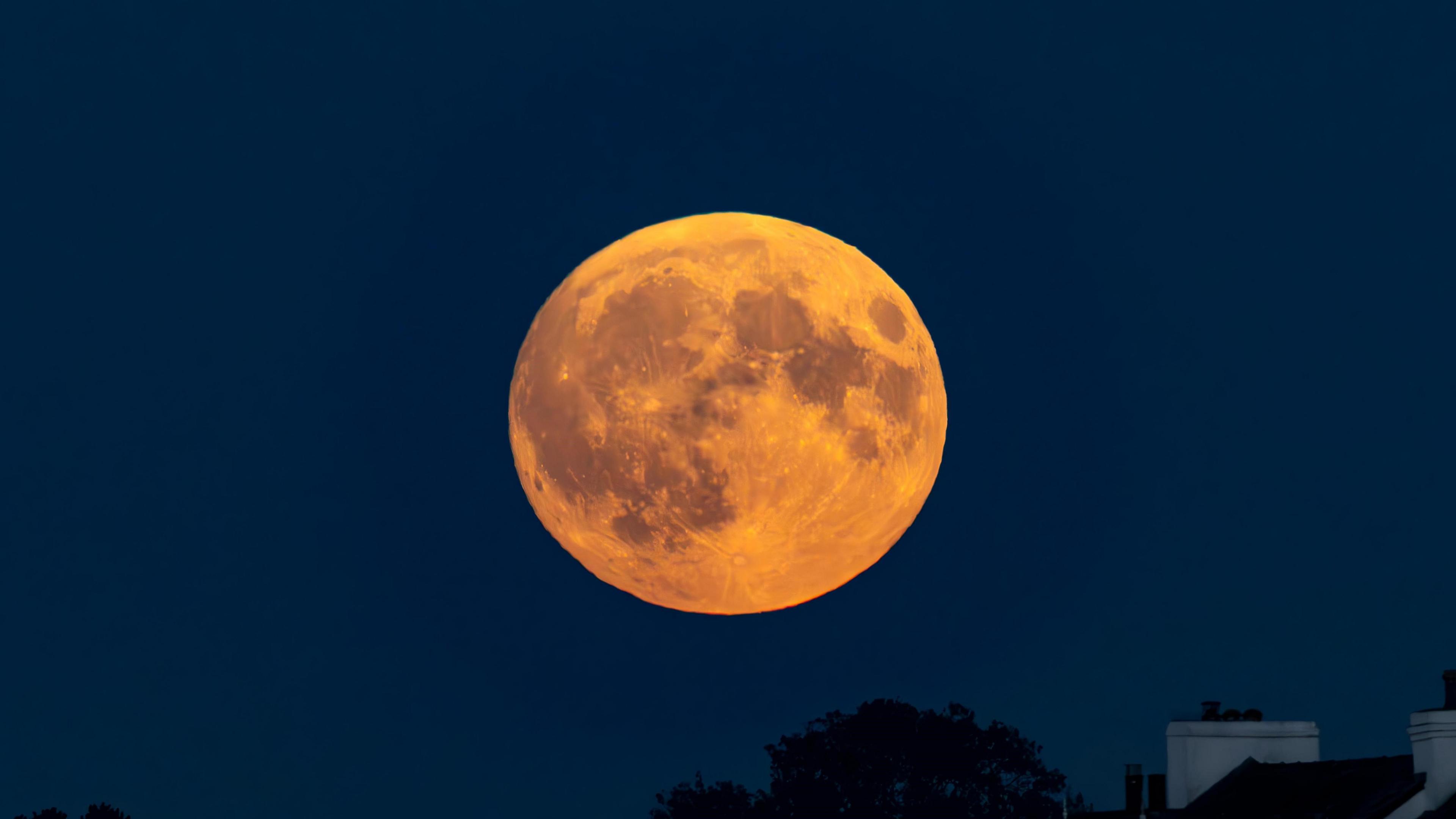 The vibrant moon in the night sky