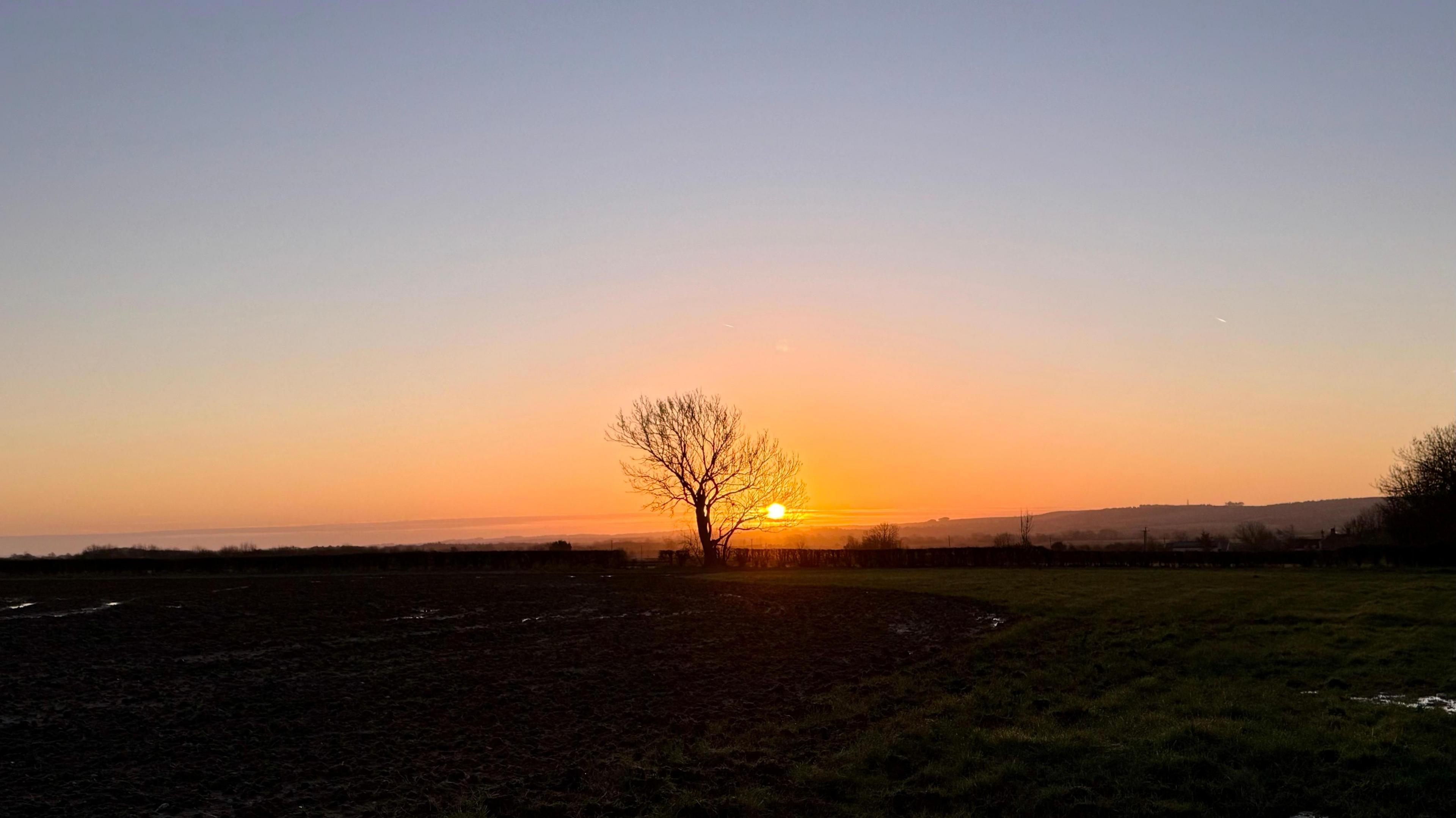 A sunrise over a field in Oxfordshire. The sun is glowing orange and lighting up the sky. There is a hedgerow with a single tree in silhouette against the sky.