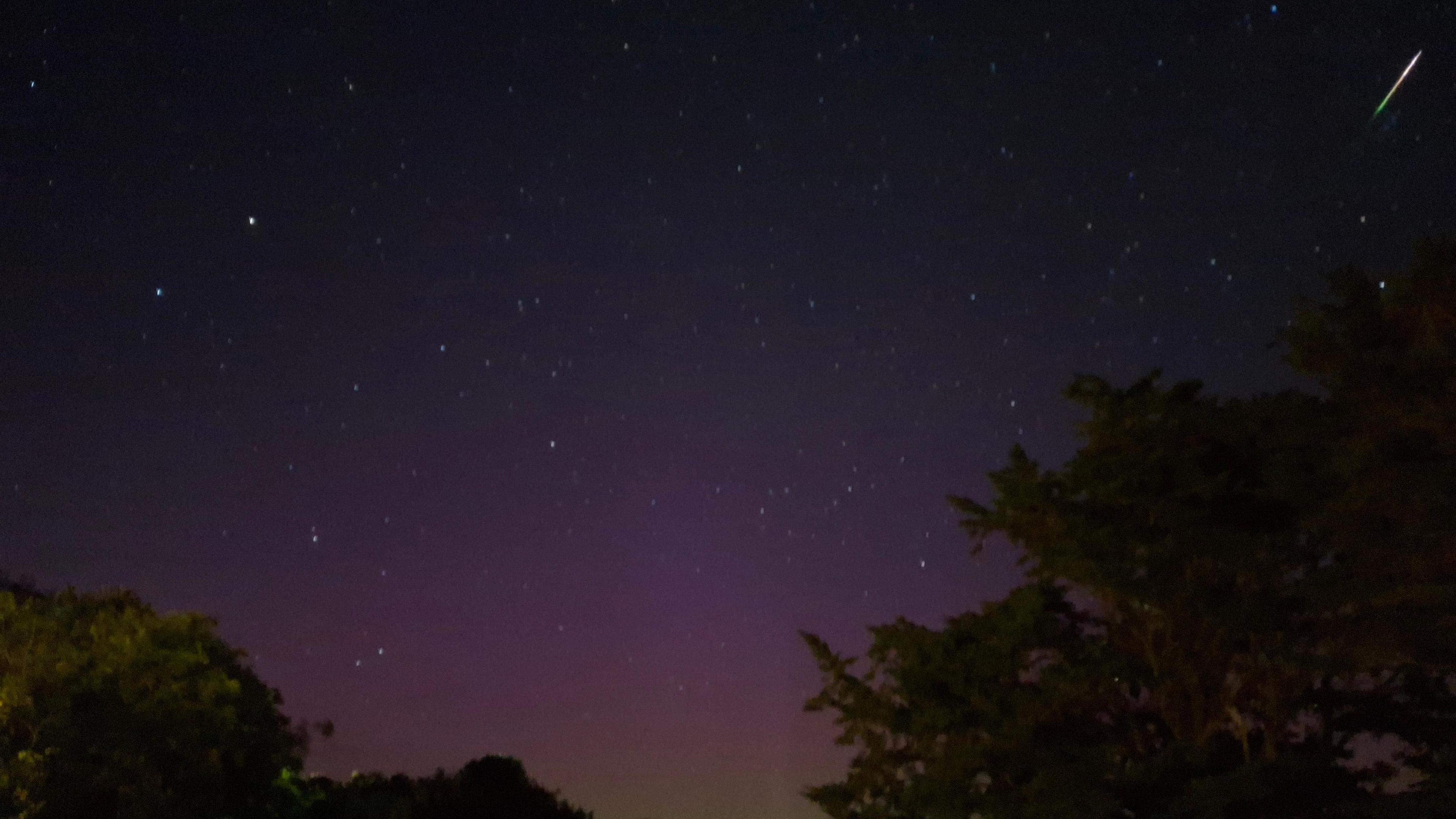 The Northern Lights in the skies above Polzeath in Cornwall. They are blue, purple and yellow. A shooting star is in the top right-hand corner. Several trees are in the foreground of the image.
