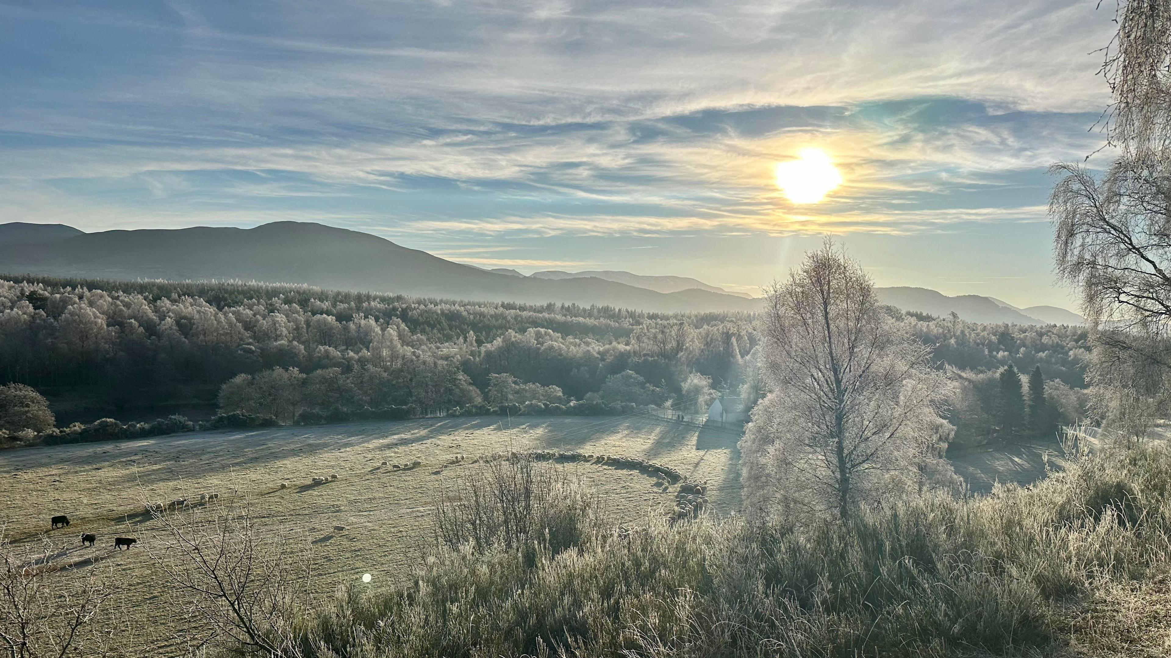 The sun shines above hills and fields, with cows and sheep visible in the distance on the grass