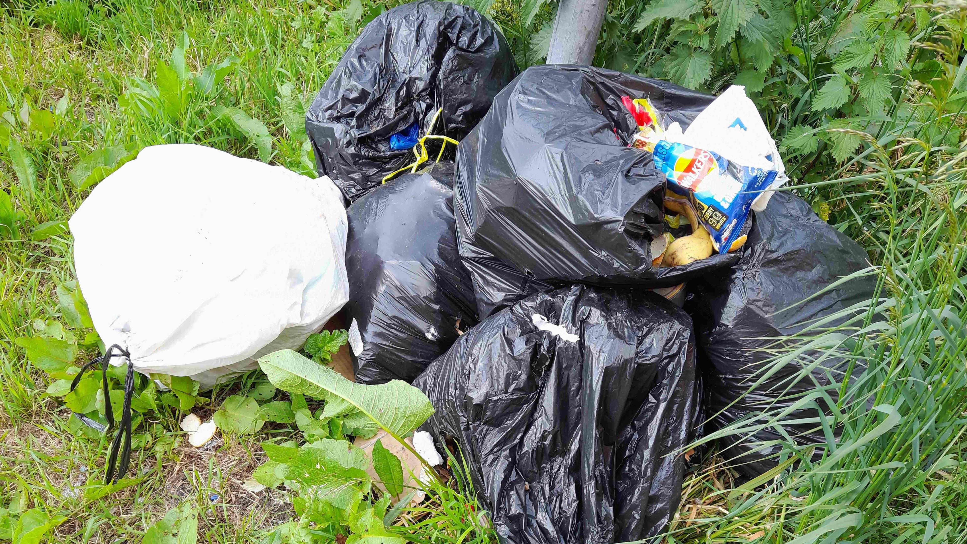 Six plastic rubbish bags dumped in a patch of grass. One of the bags has ripped open and is spilling food packaging and banana peels 