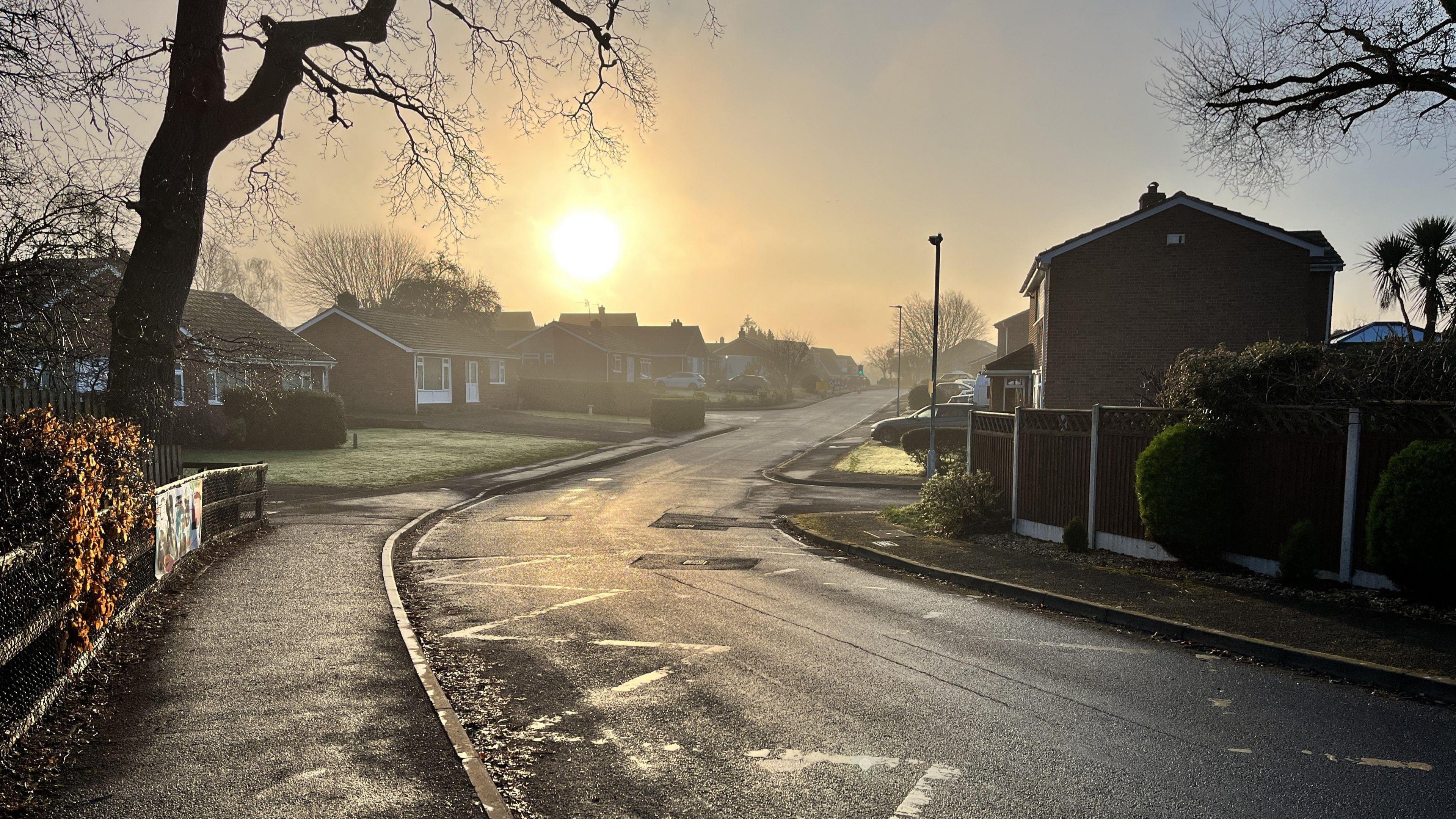 A road flanked by houses on either sound, bending from the bottom right corner into the middle of the shot and out in the distance. The sun is bright but low in the sky, and it is slightly misty. A tree is on the left hand side.