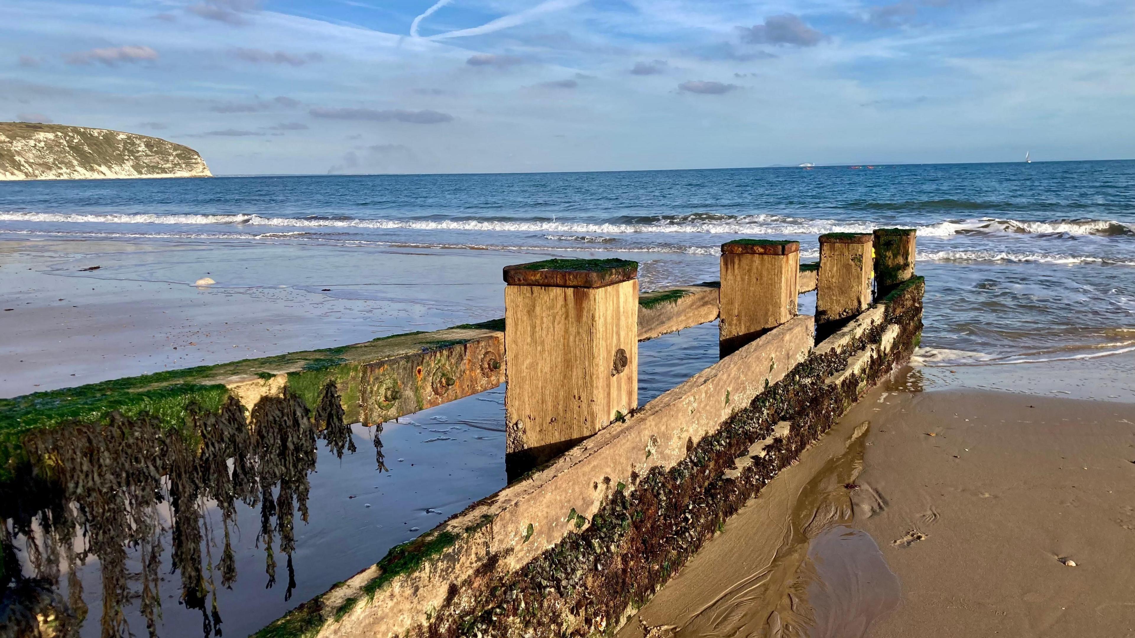 A sunny day on the beach at Swanage. A wooden structure covered in seaweed can be seen on the sandy beach moving out towards the waves. 