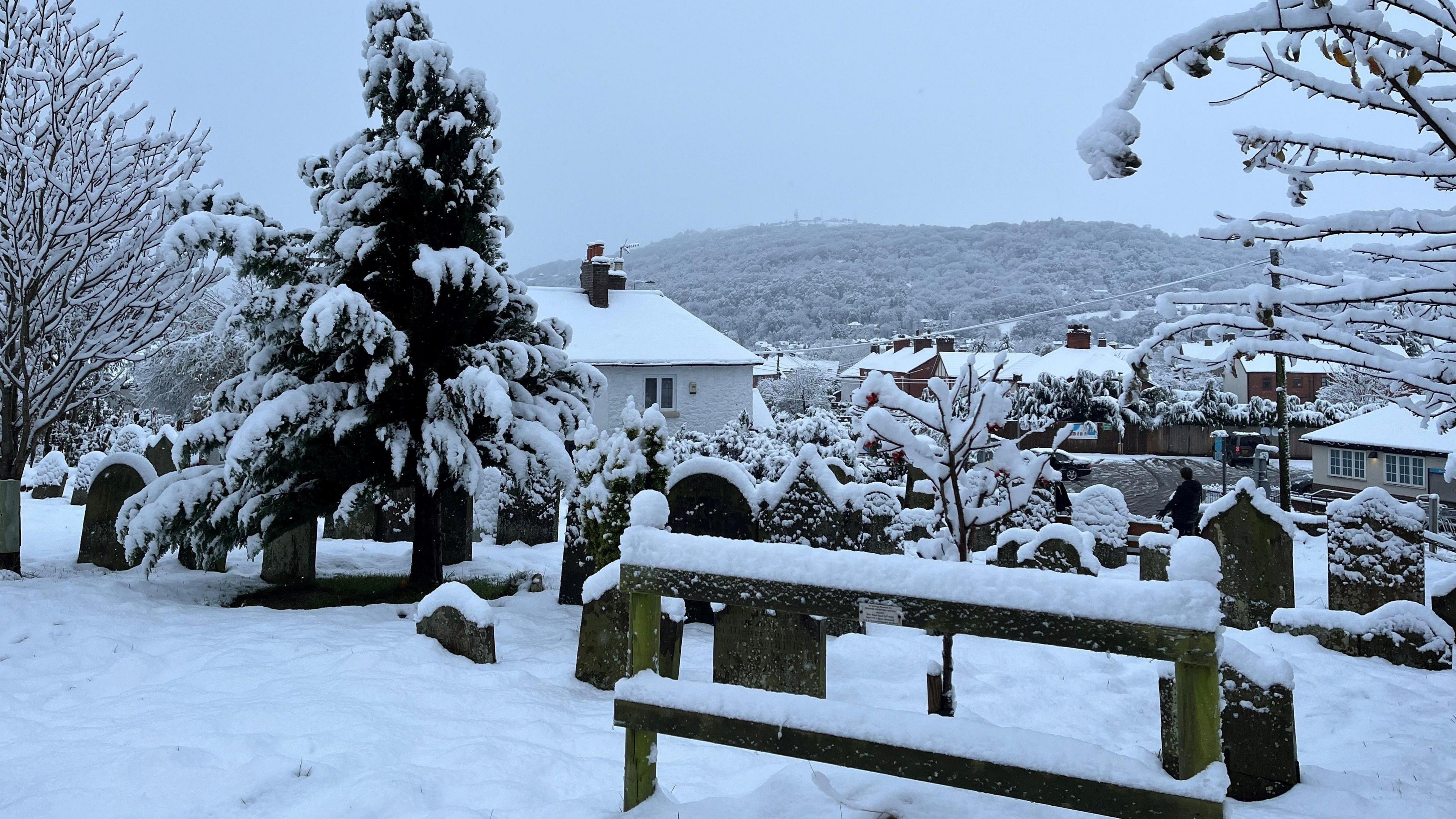 Snow covers trees and headstones in a graveyard