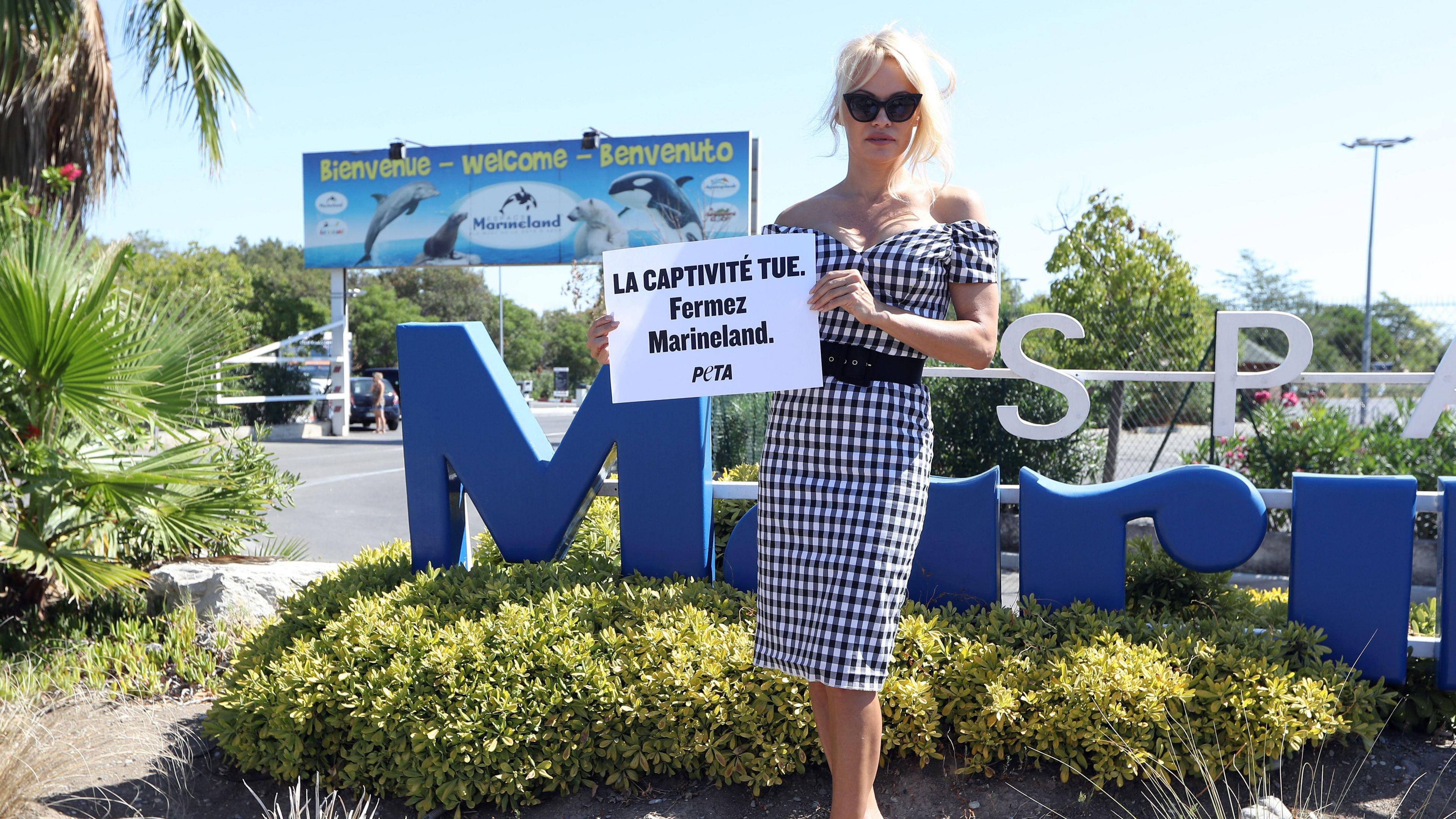 US actress Pamela Anderson holds a placard reading "captivity kills, shut Marineland" in front of Marineland Antibes in 2017.