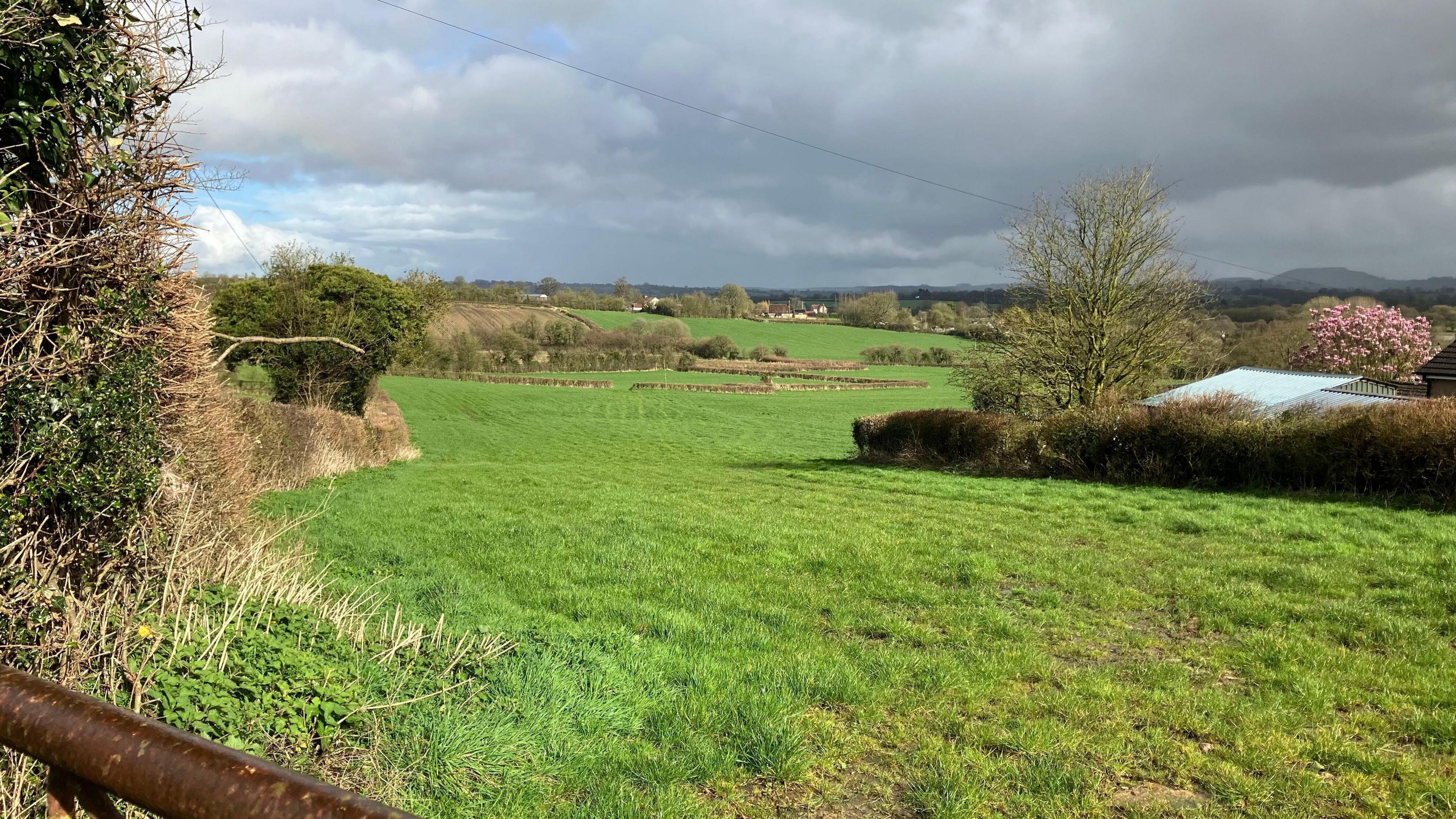 The picture shows trees and, hedges and a green field. It was taken on a cloudy day. There are buildings to the right of the image.
