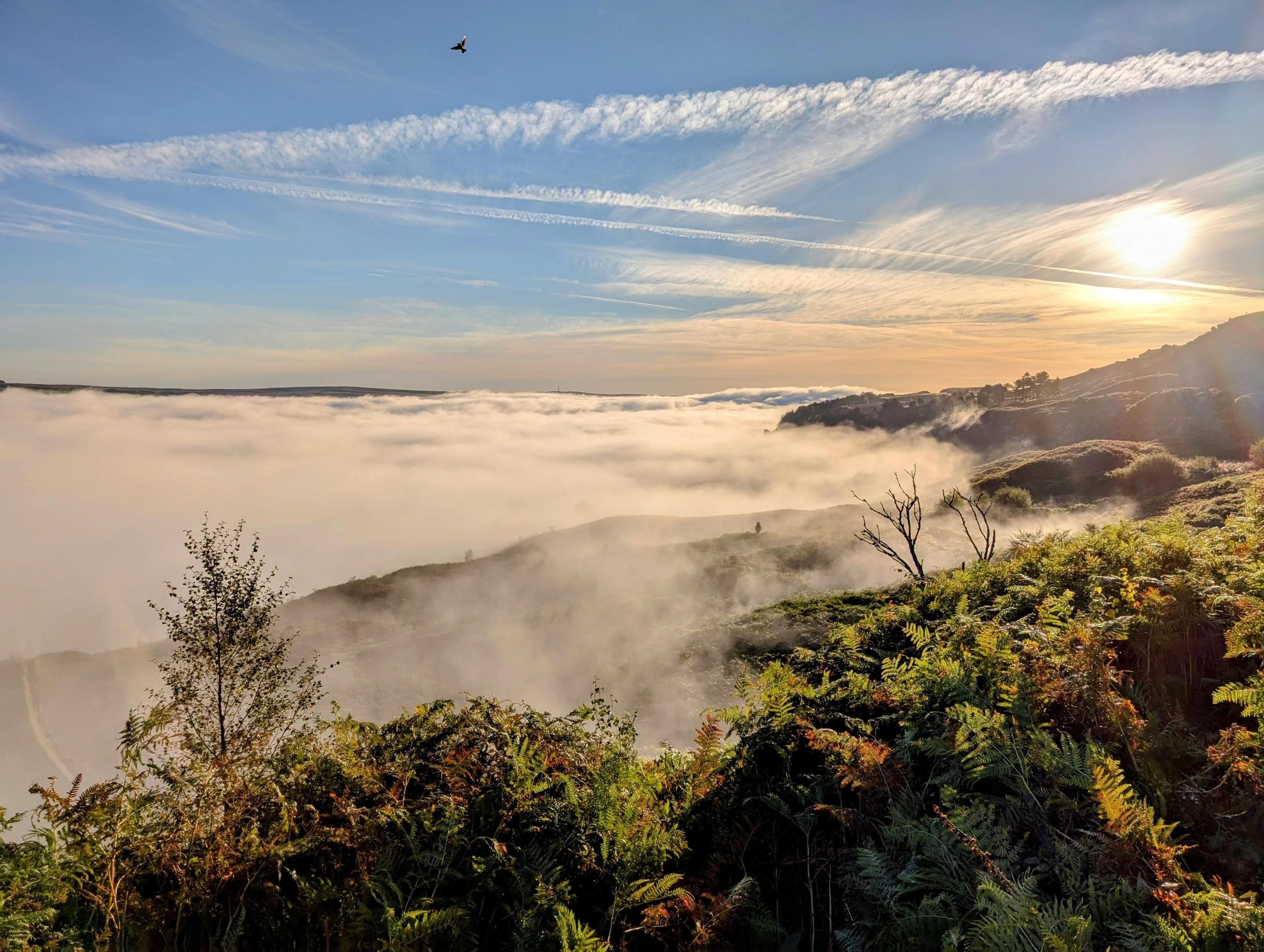 Fog flowing like water through a valley as the Sun rises