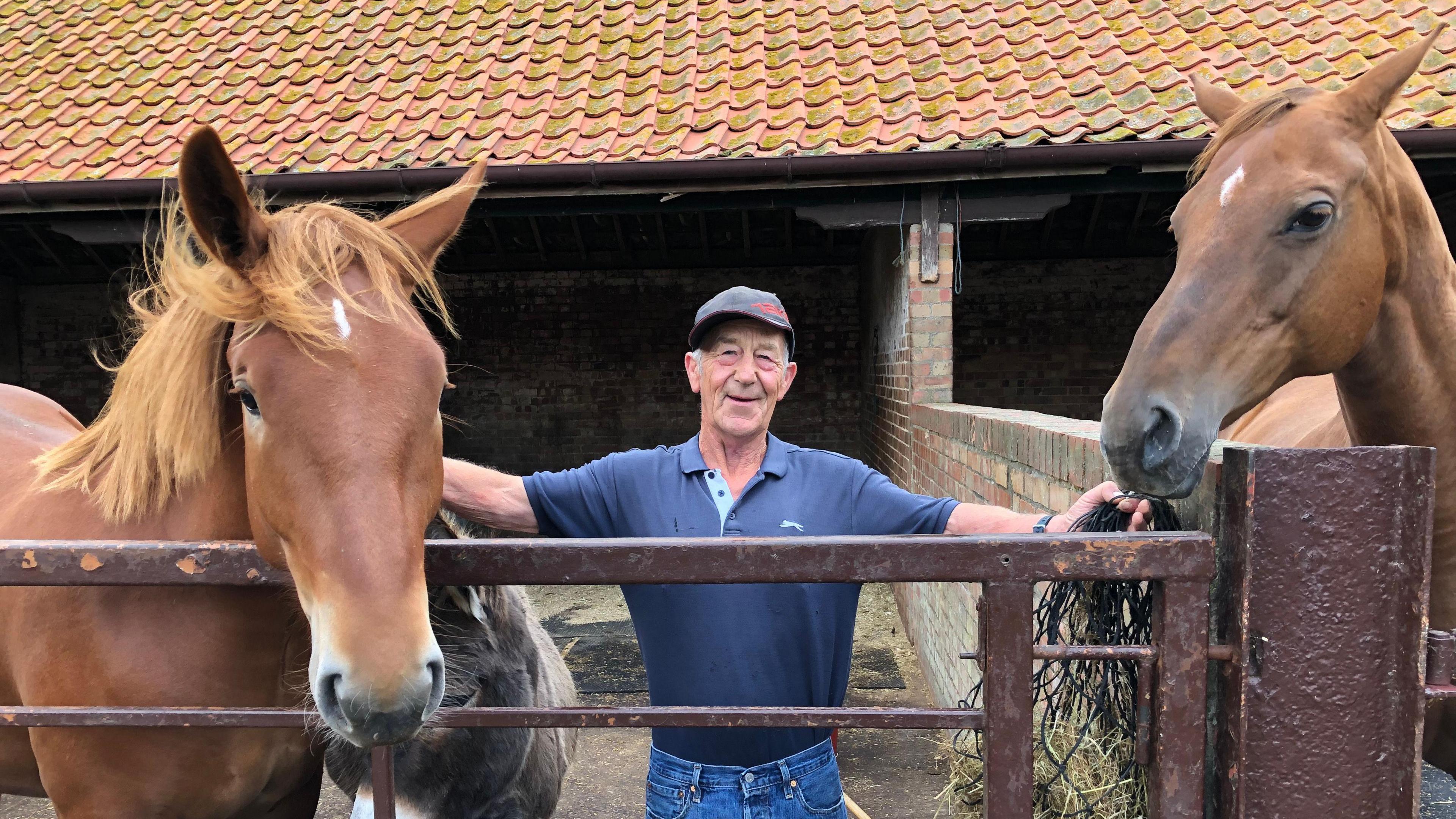 Livestock manager Steve Swan pictured with two of Easton Farm Park's Suffolk Punch horses