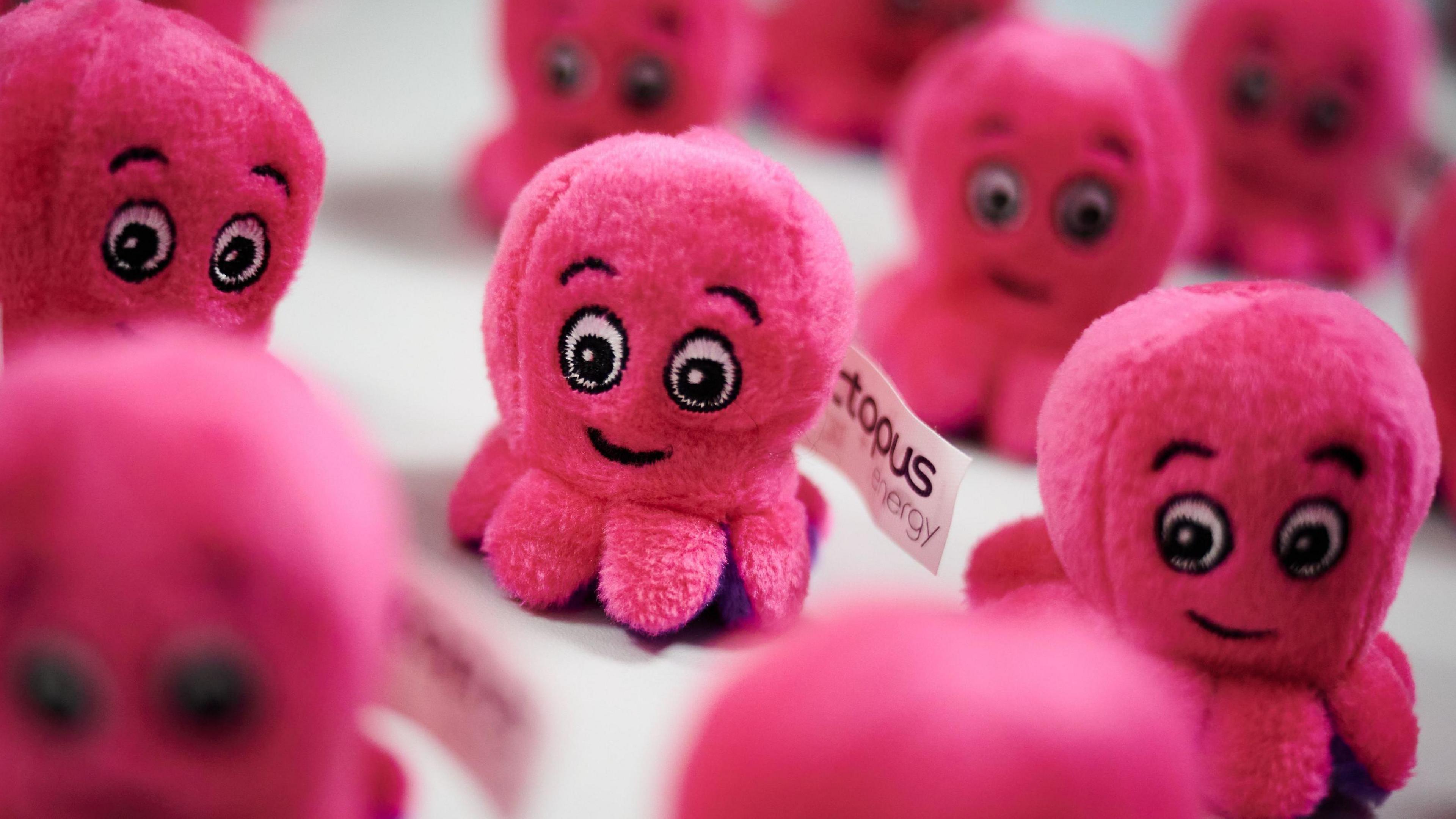 Octopus Energy promotional toys at the headquarters of Octopus Energy in London.