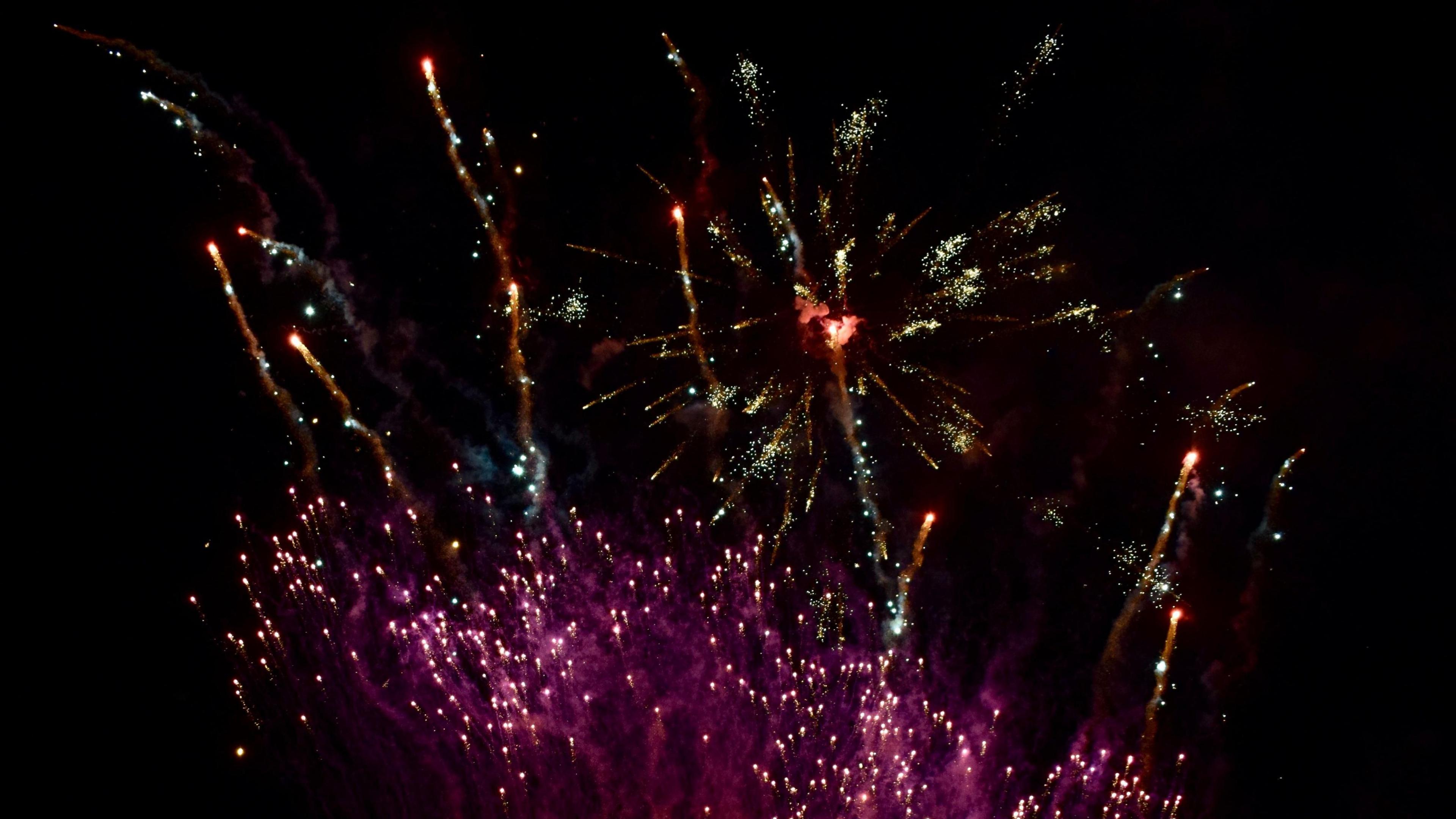 Fireworks in the black sky - pinks and reds and oranges