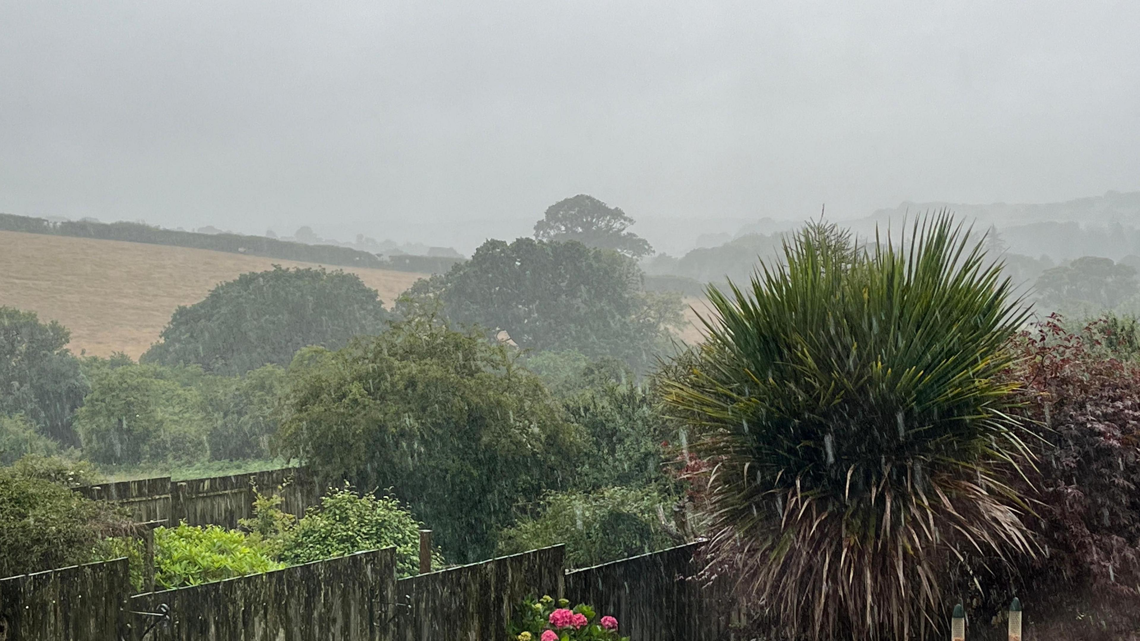 Heavy rain falling with very grey and misty skies. Green trees between a couple of garden fences