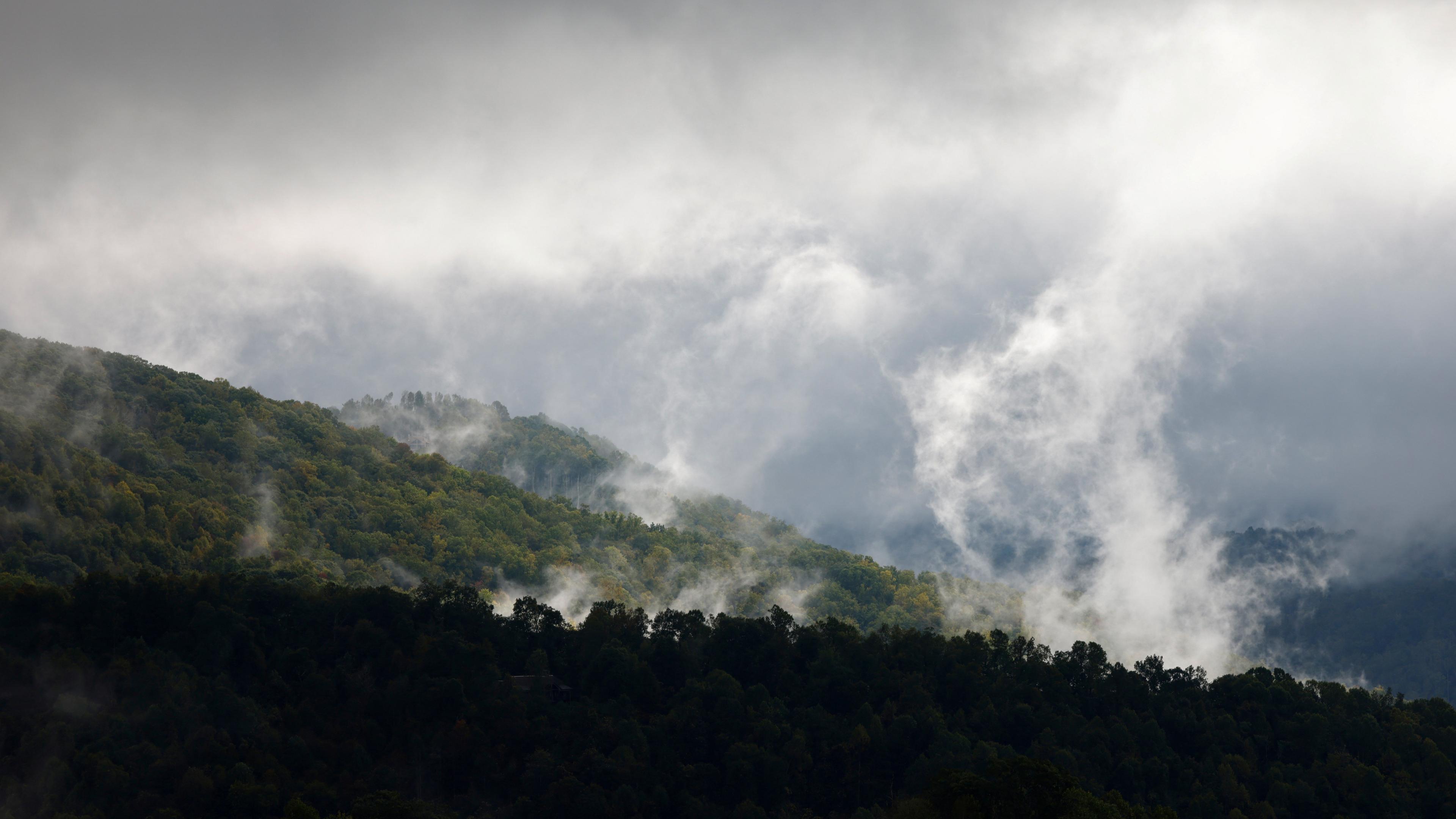 Moisture rises from drenched forests under a cloudy sky