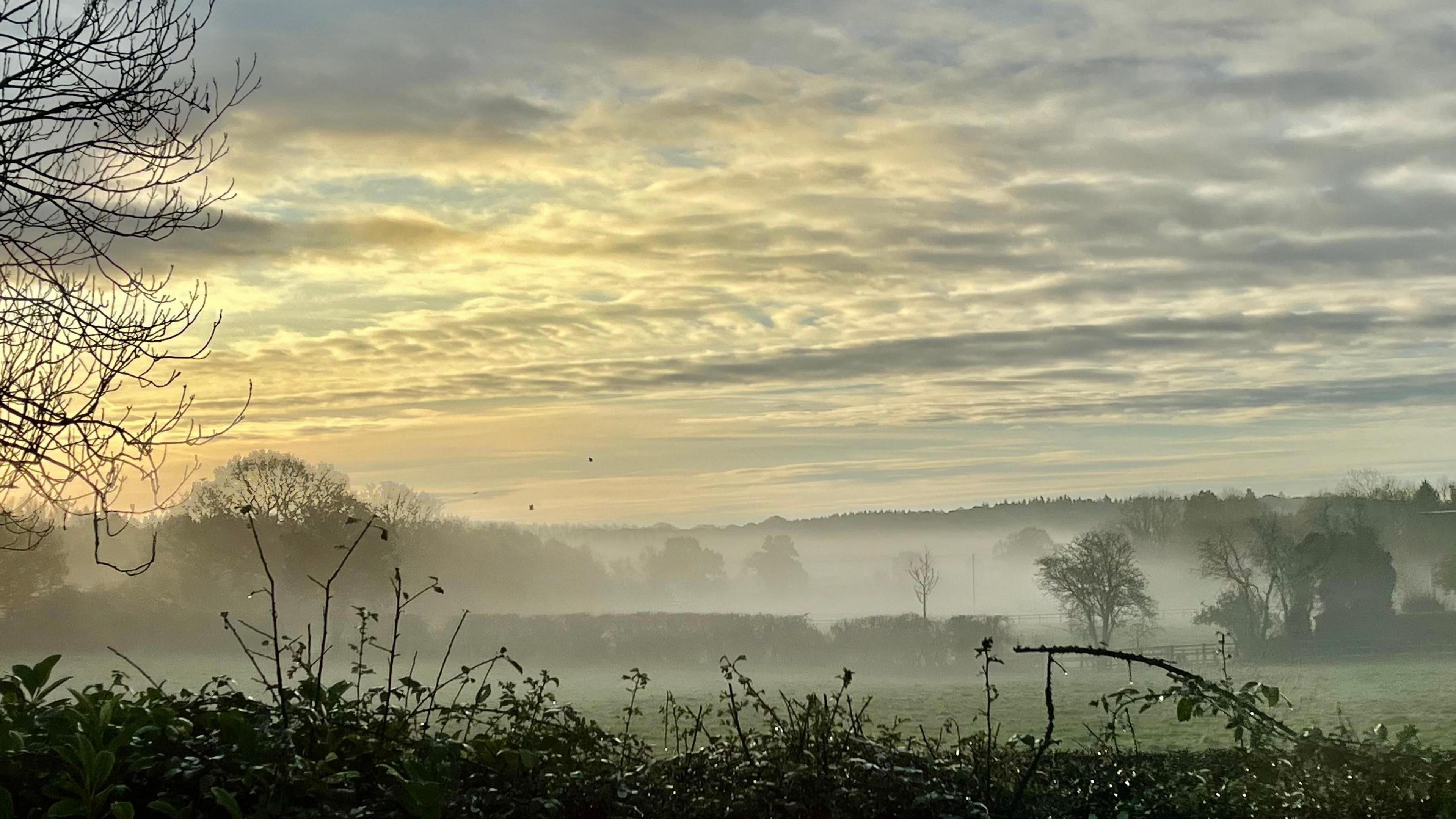 An early sunrise view across fields and tree lines which are covered in mist. White clouds are stretched out across the sky with a few break of blue peeking through - the sky has a light orange glow.